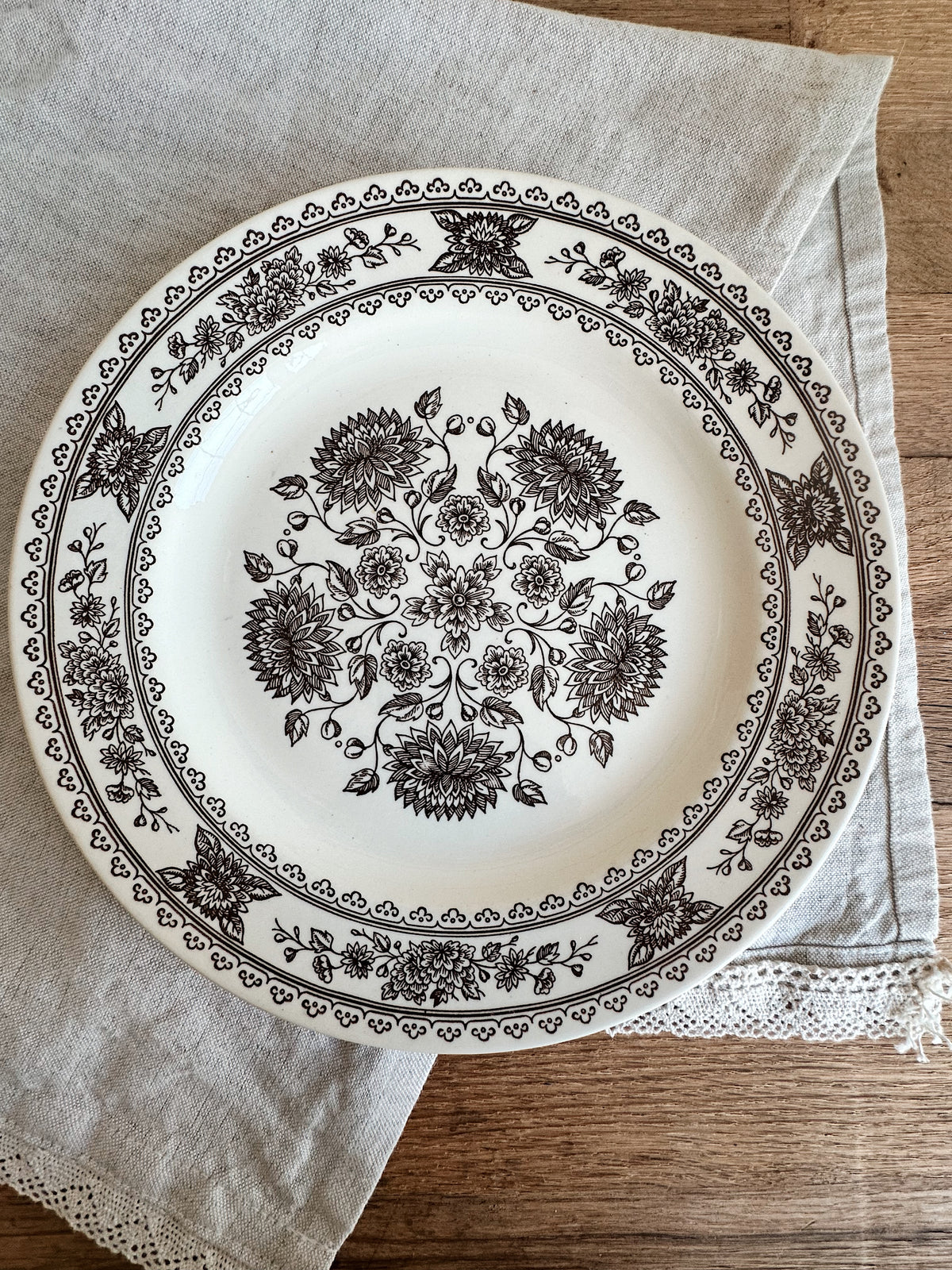Pair of Vintage Vendome Transferware Dinner Plates