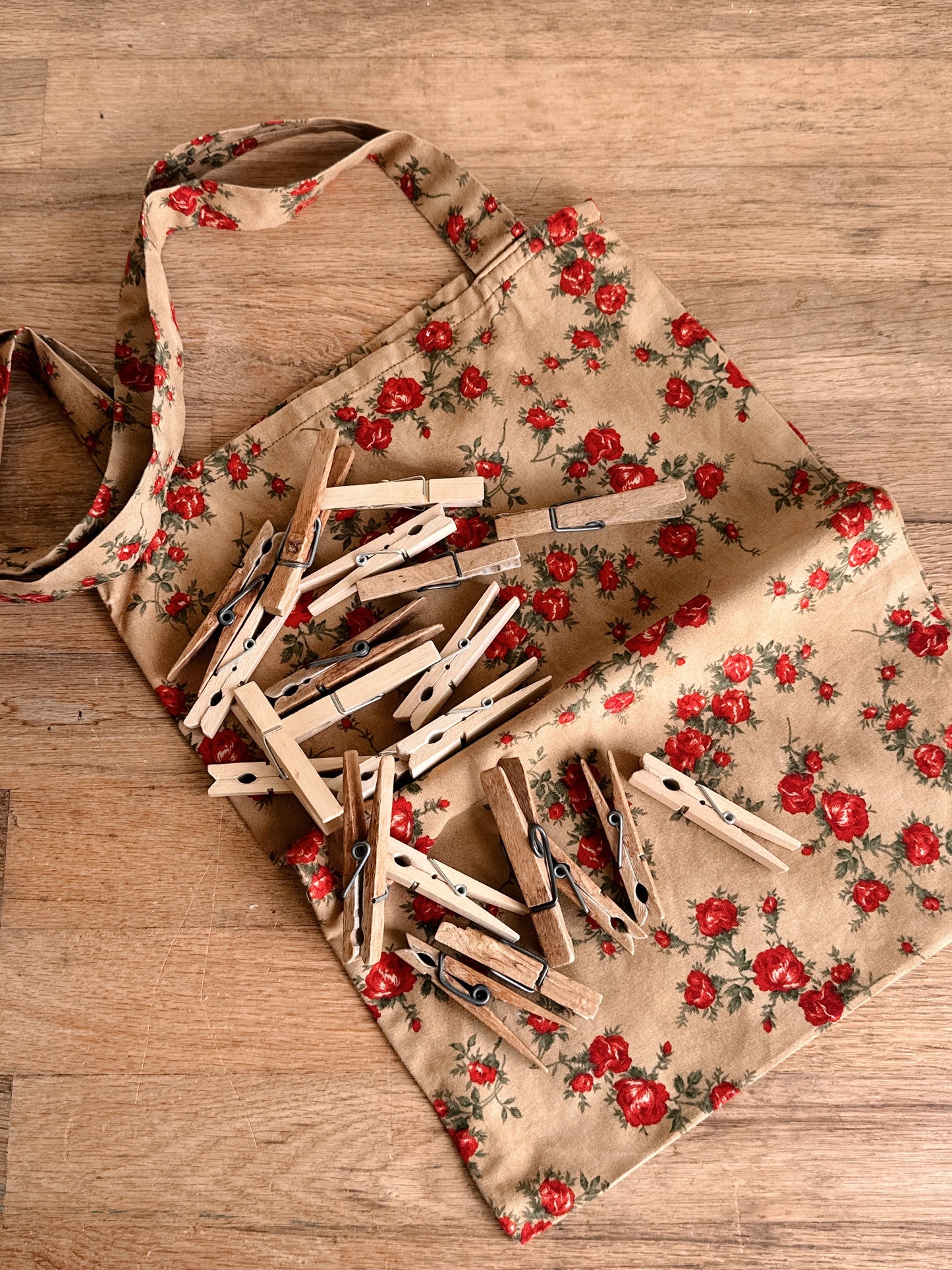 Vintage Handmade Tote & Clothespins