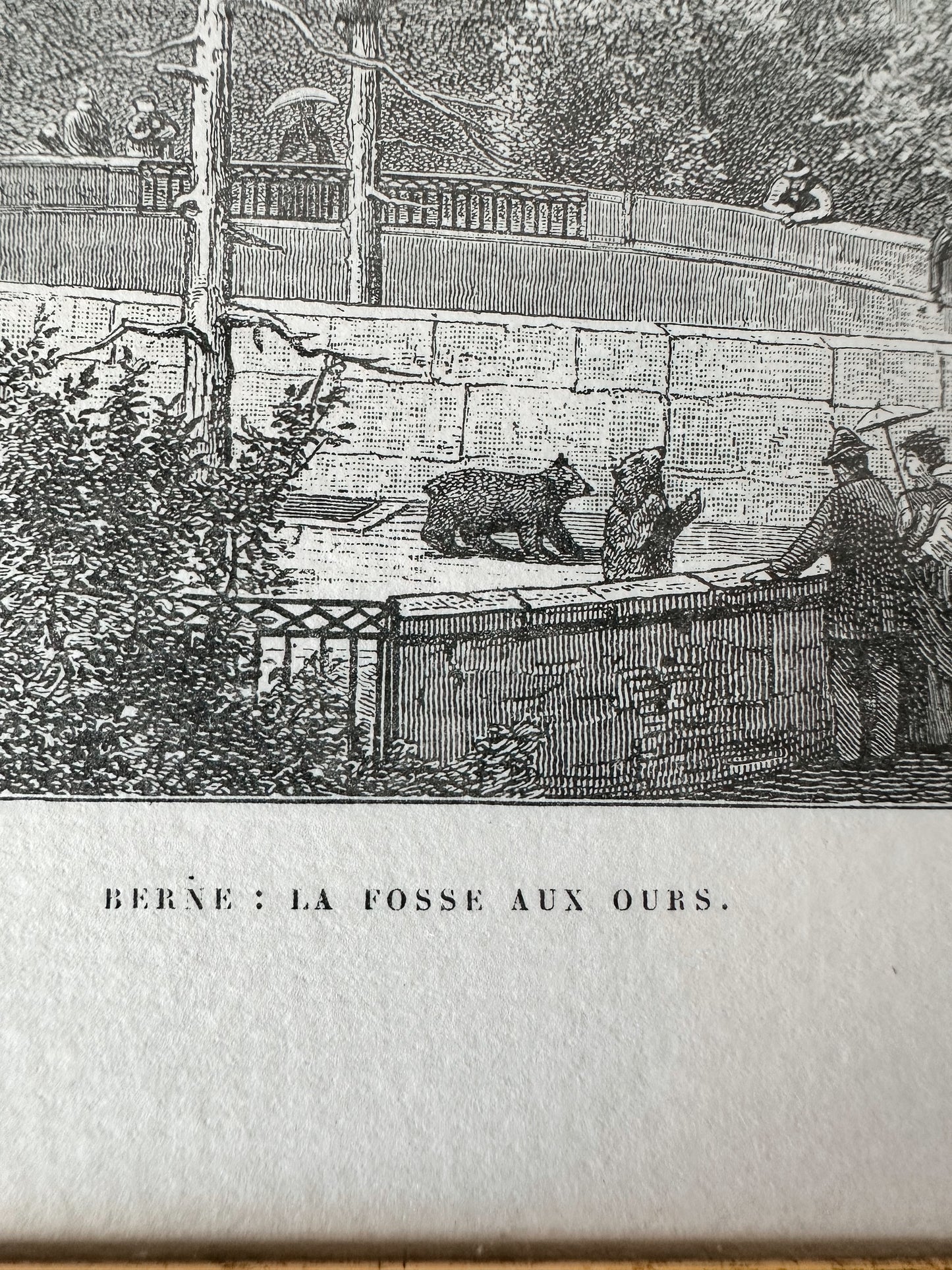 Vintage Framed German Print, The Bear Pit