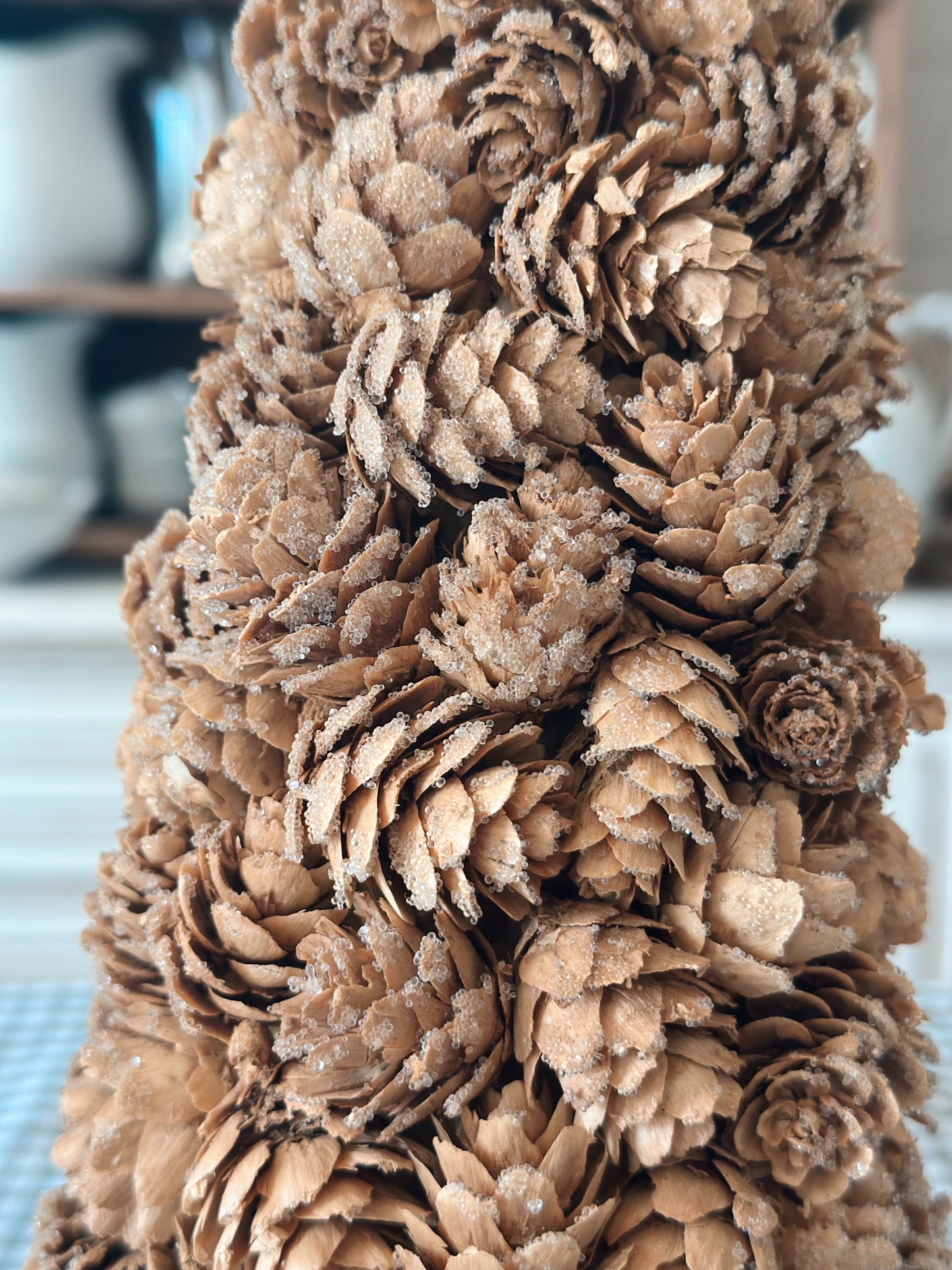 Bleached Pinecone Trees