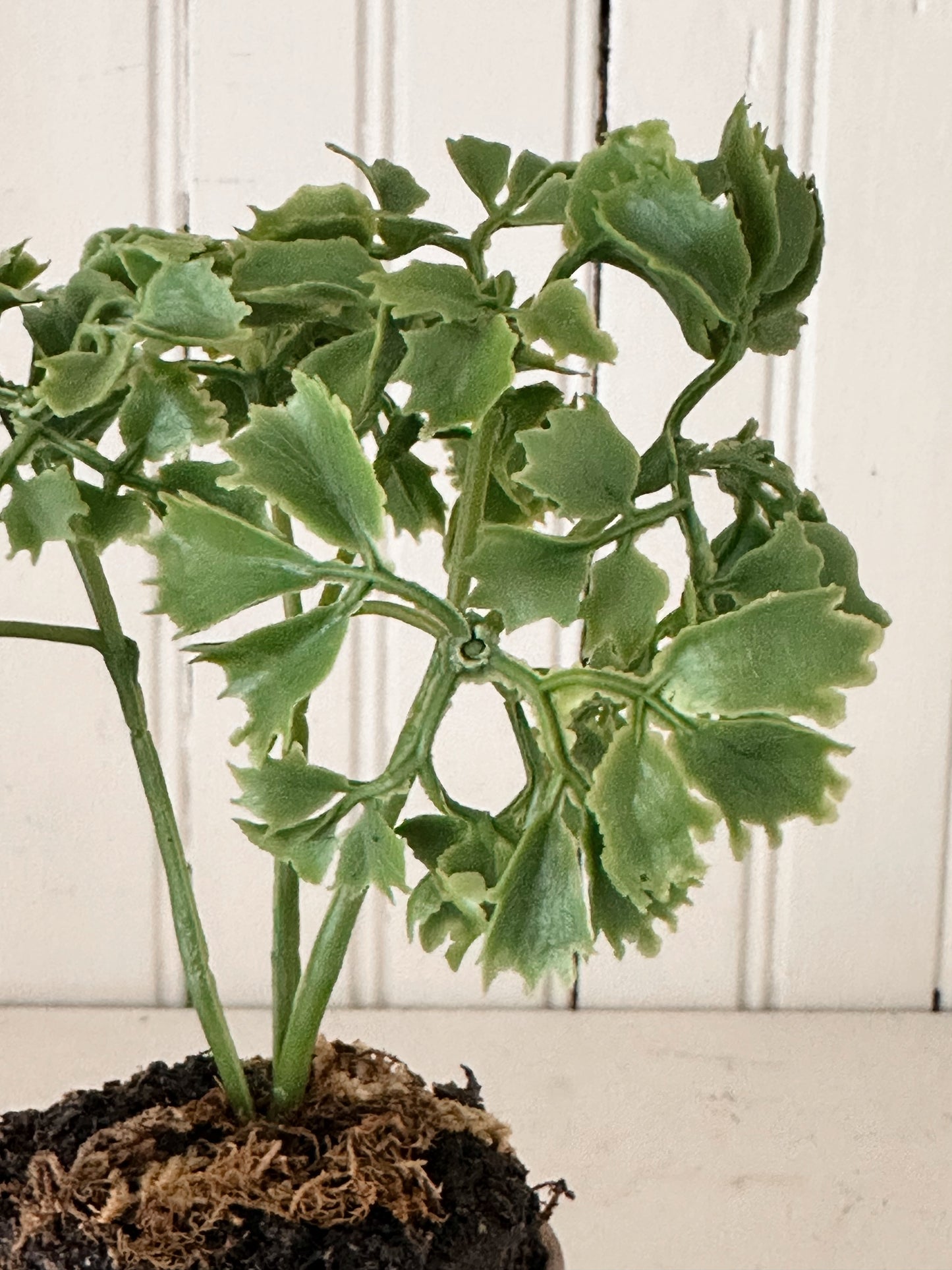 Faux Potted Herbs