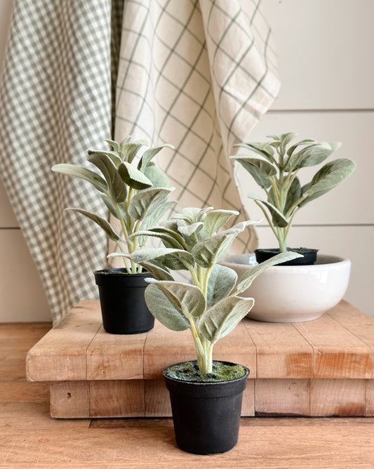 Sage Drop-in Trio