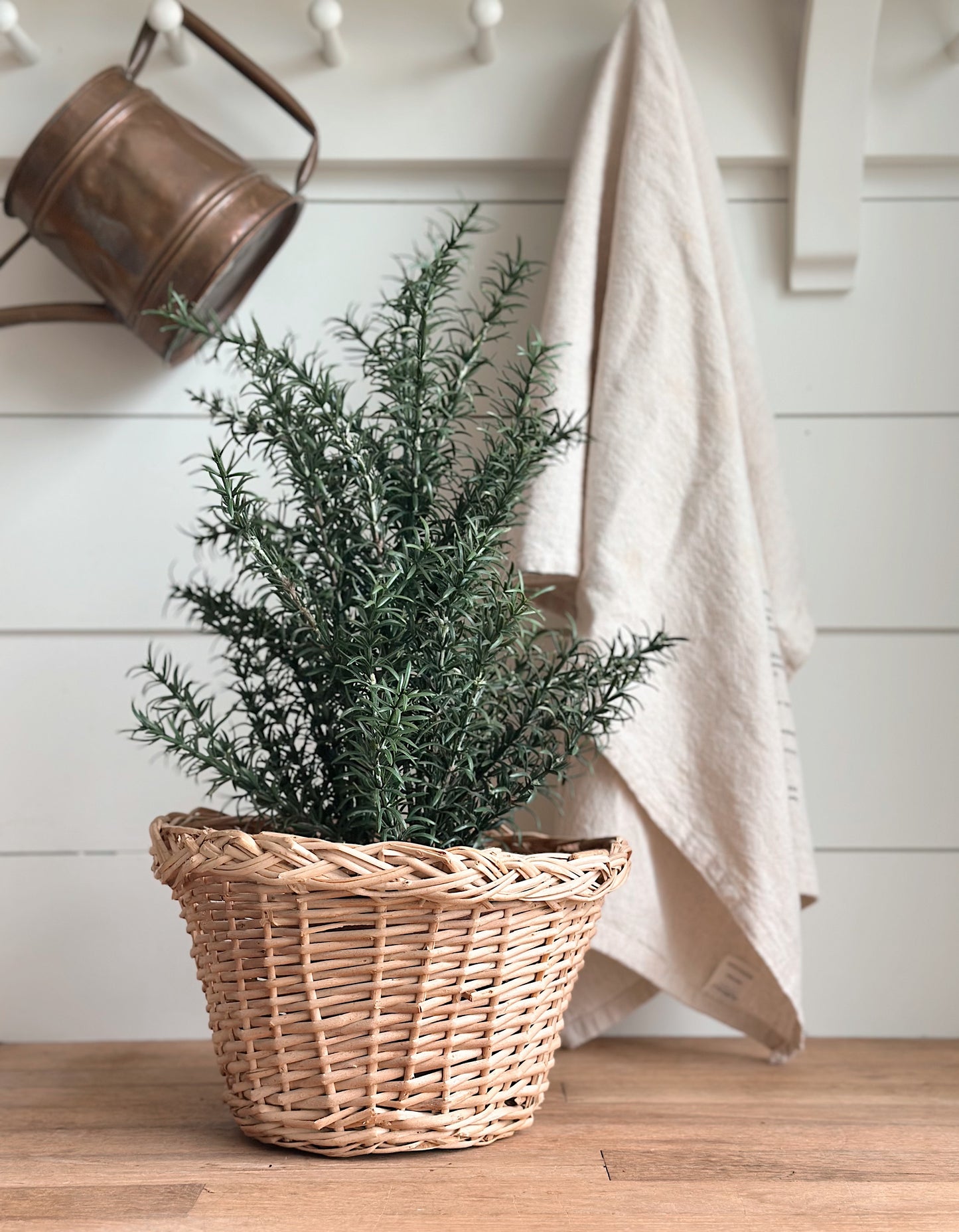 Faux Rosemary Plant