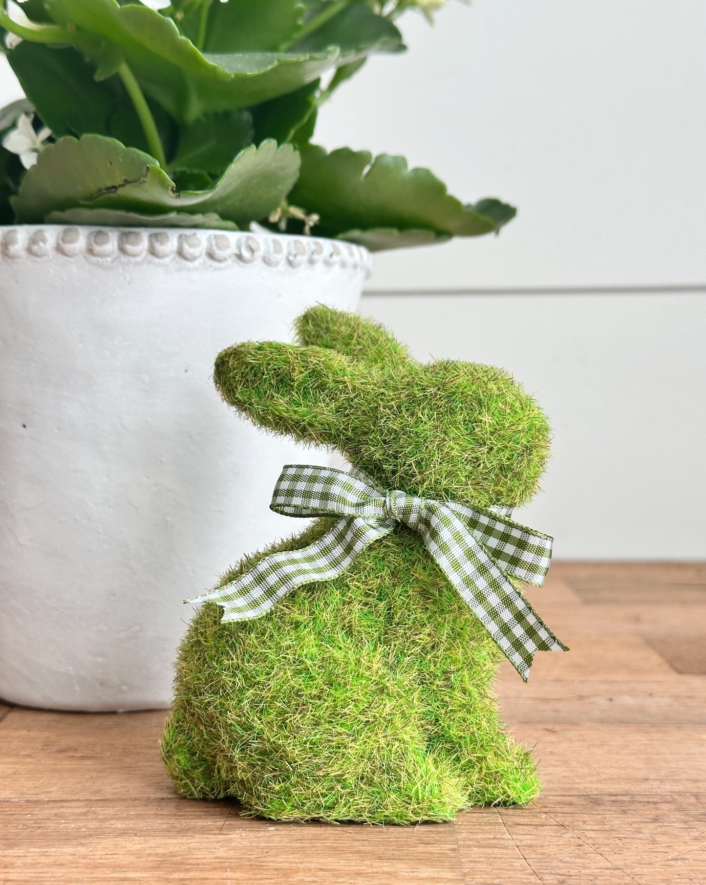 Mossy Bunny with a Bow