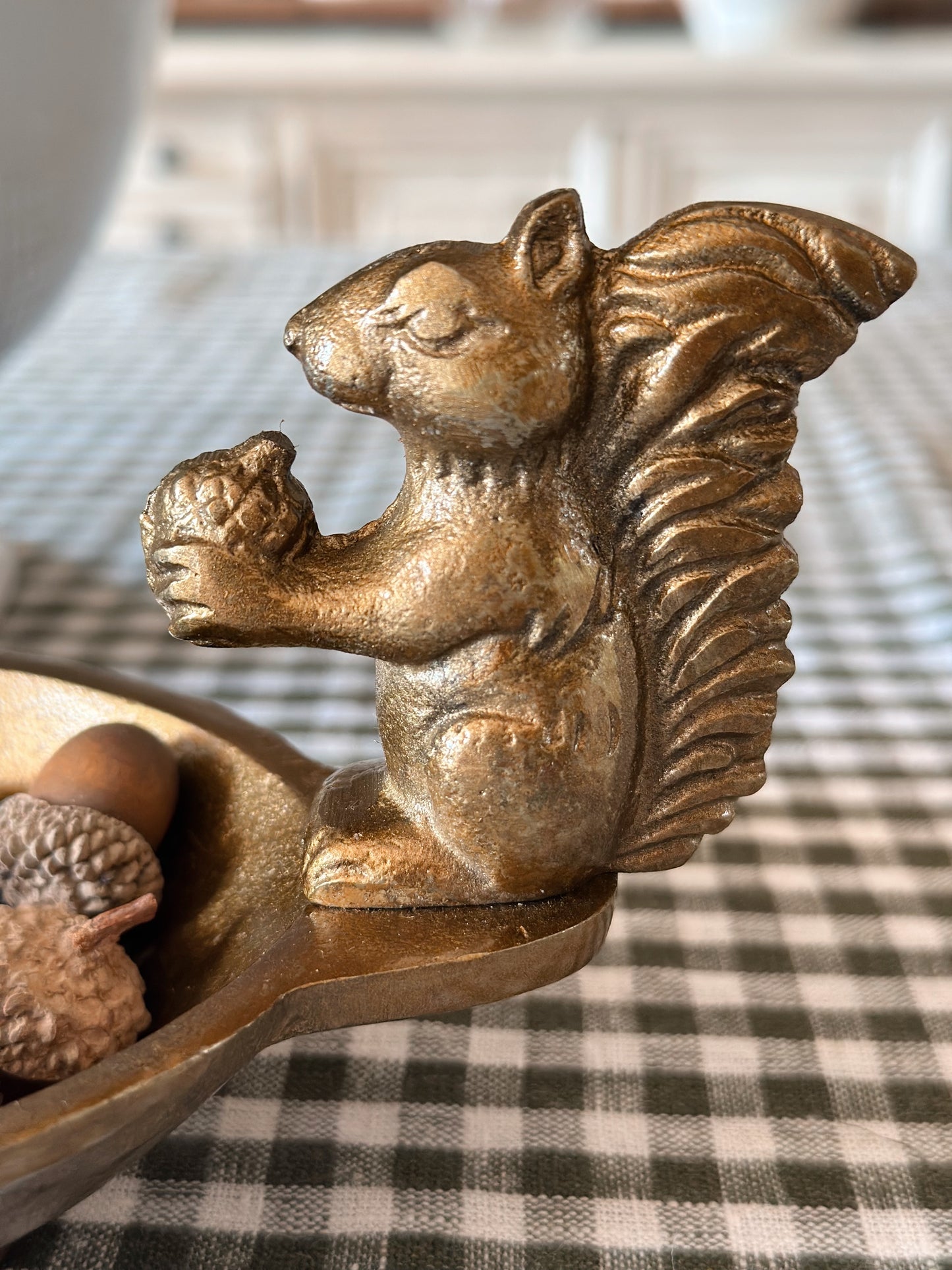 Bushy Tail Squirrel Bowl