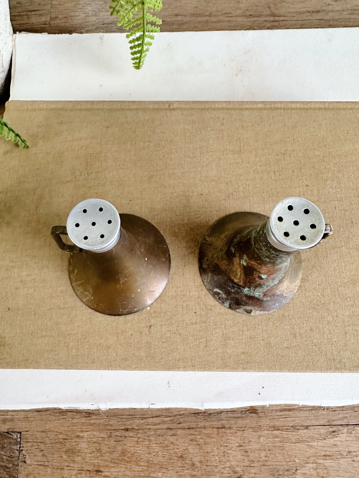 Sweet Little Vintage Brass Horn Salt & Pepper Shakers