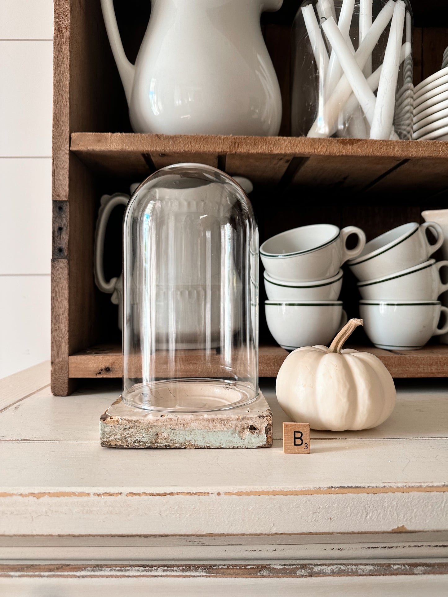 Vintage Plinth & Cloche