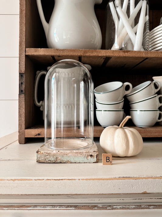 Vintage Plinth & Cloche