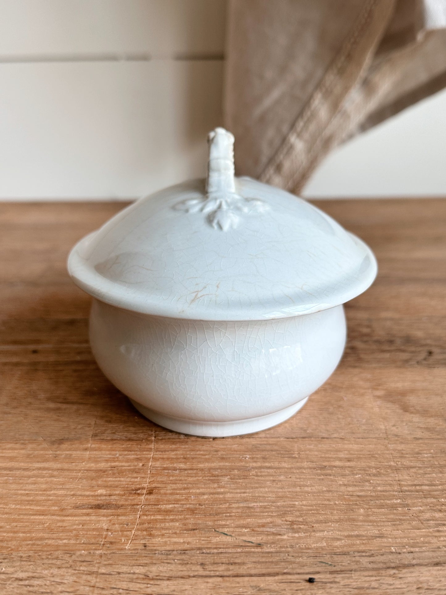 Antique Wedgwood & Co Ironstone Covered Soap Dish
