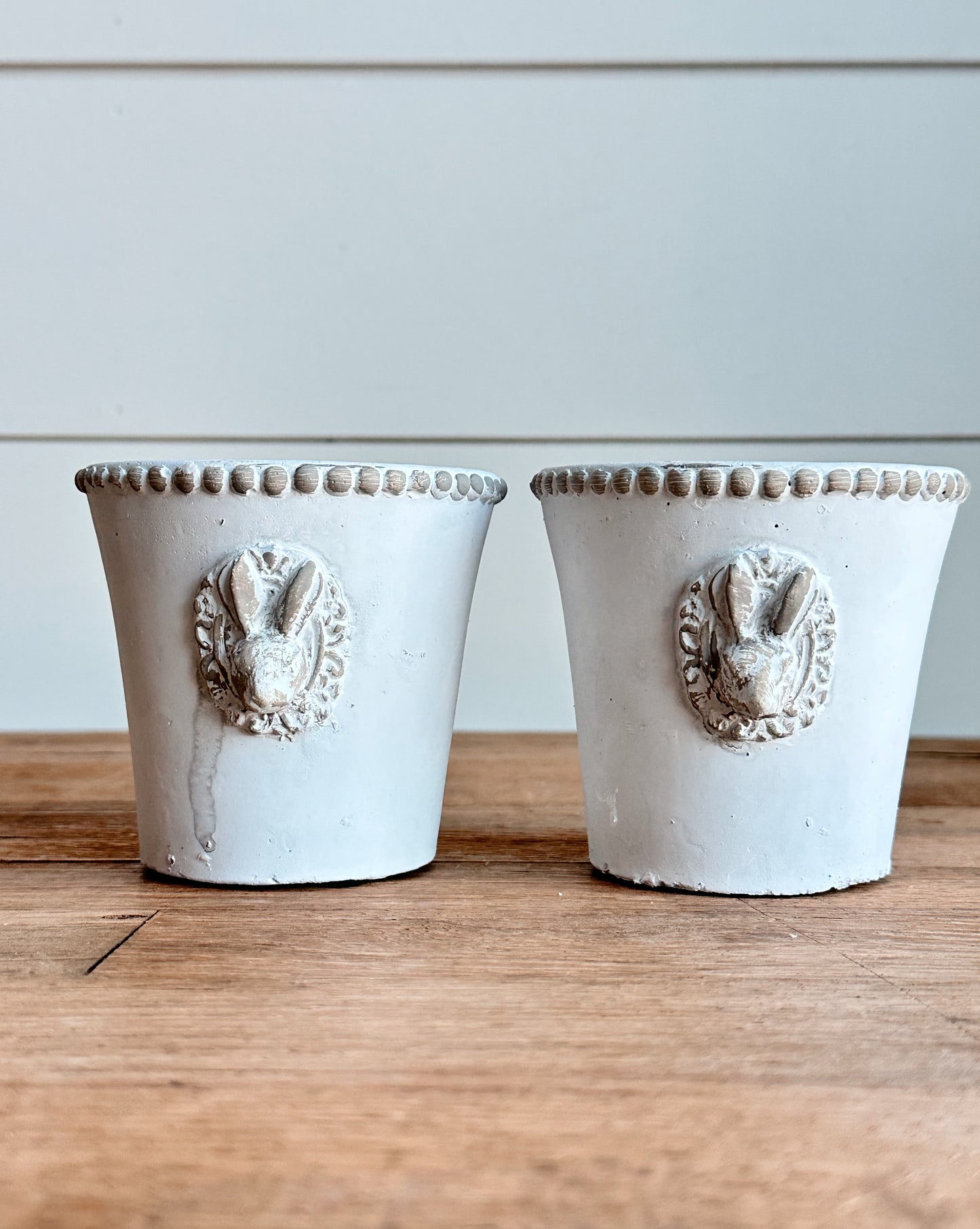 Bunny Medallion Flower Pots