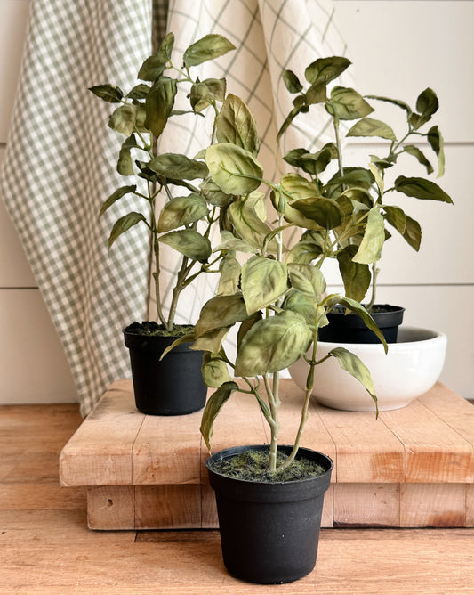 Faux Basil Drop-in Trio