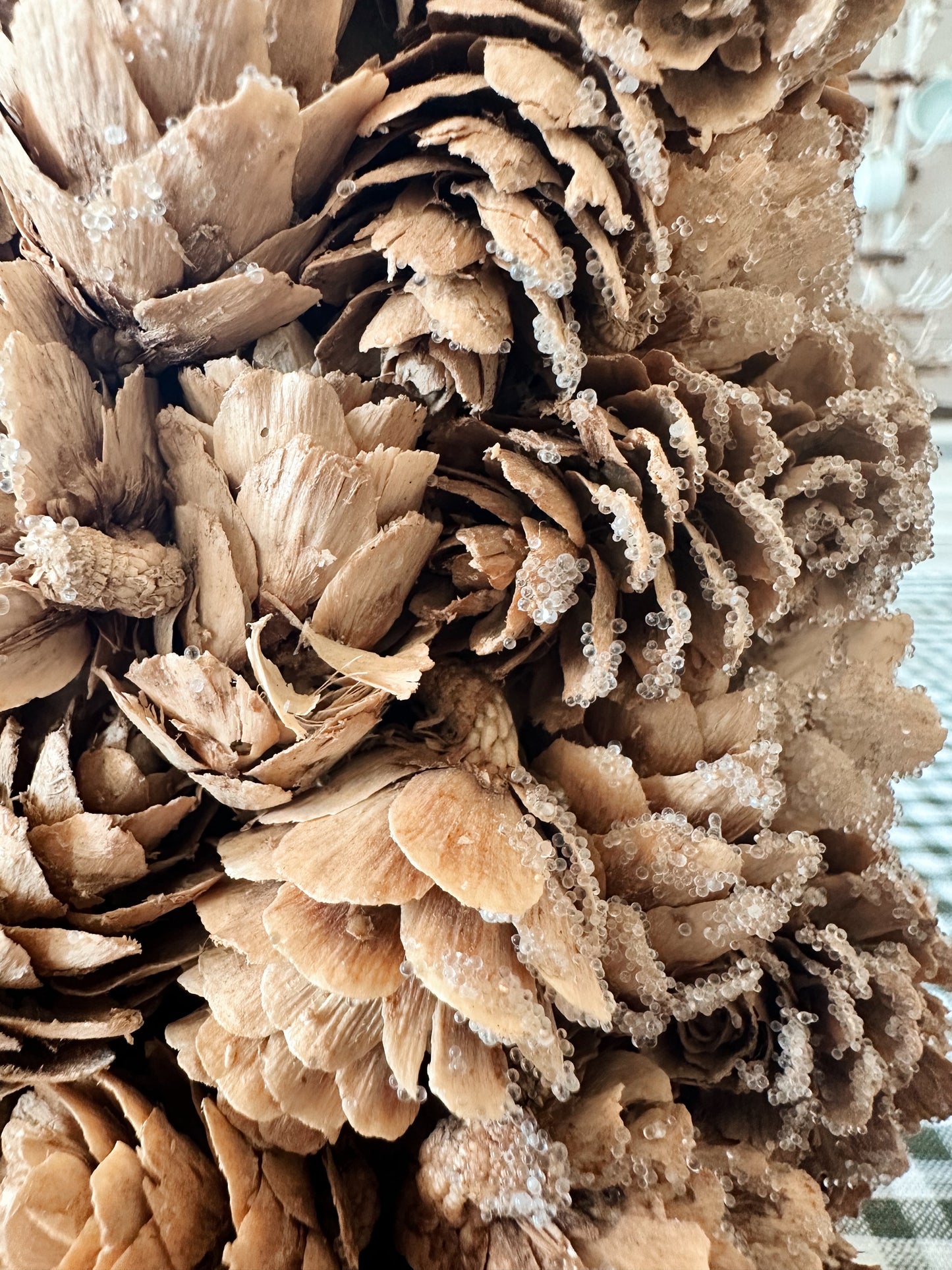 Bleached Pinecone Trees