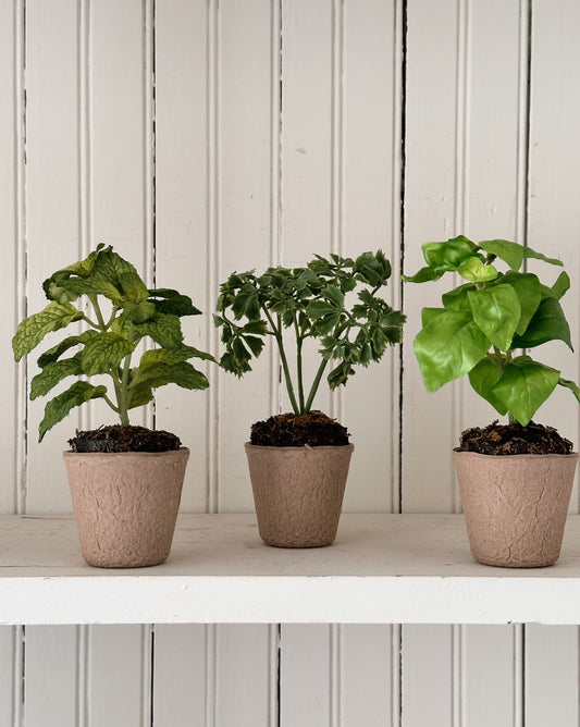 Faux Potted Herbs