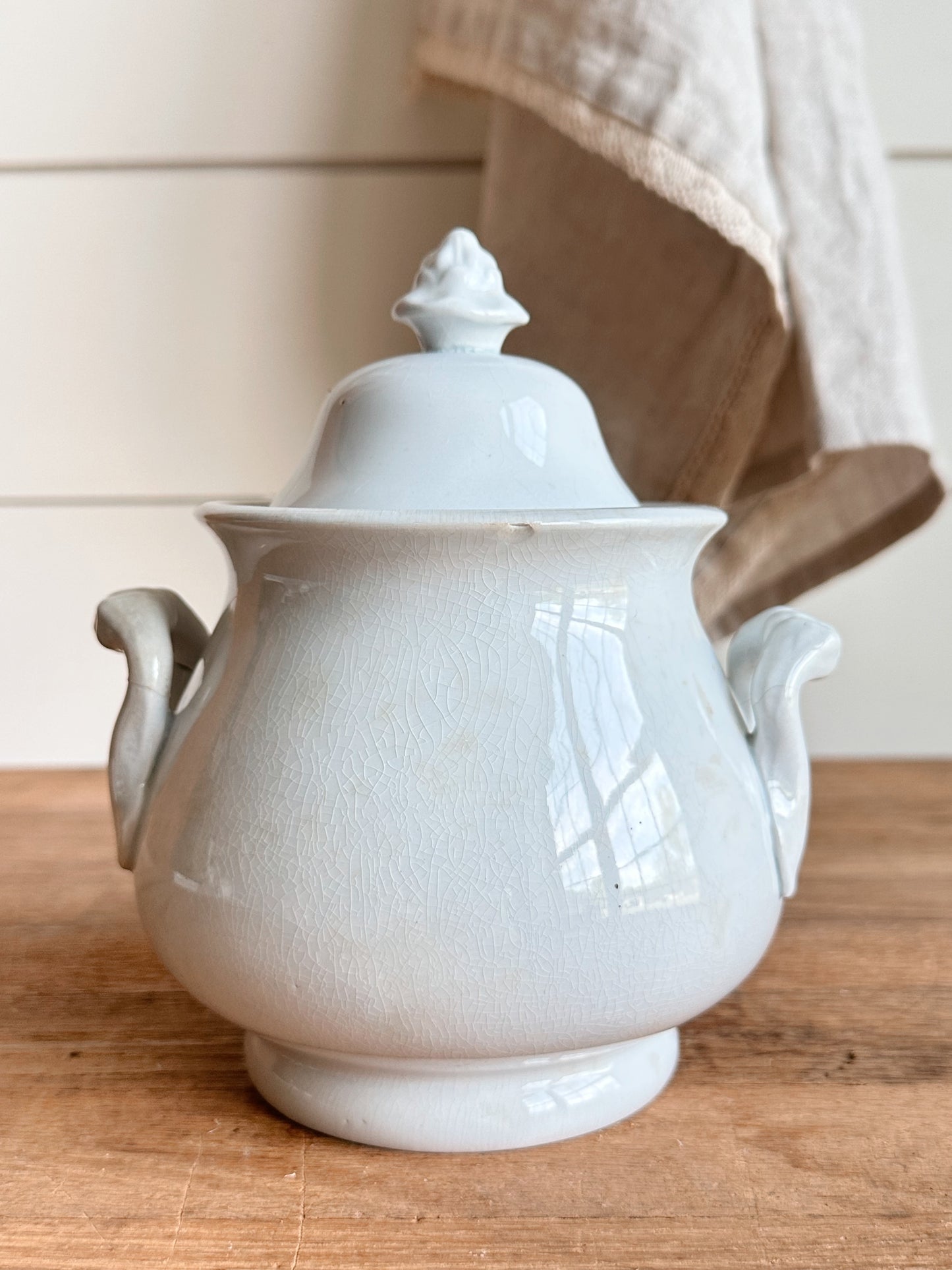 Antique T & R Boote Ironstone Sugar Pot