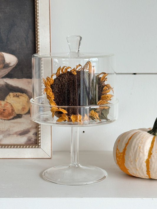 Glass Pedestal & Cloche