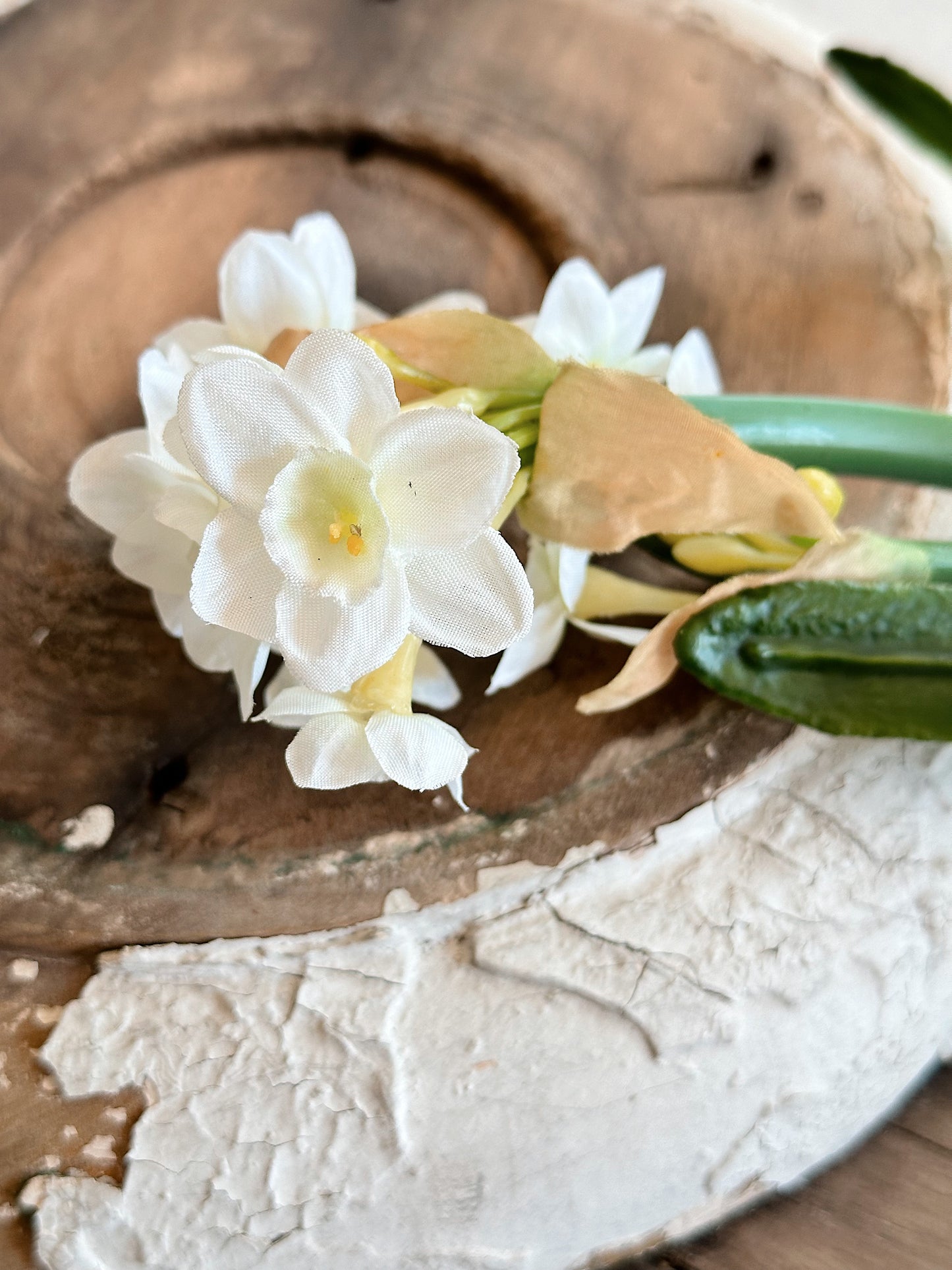 Paperwhite with Bulb Stem