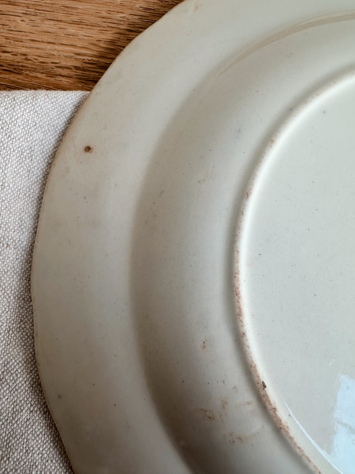 Pair of Antique English Onion Ware Plates