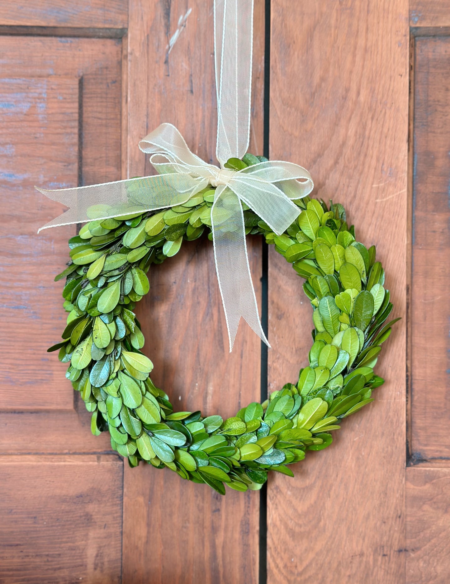 Preserved Boxwood Wreath