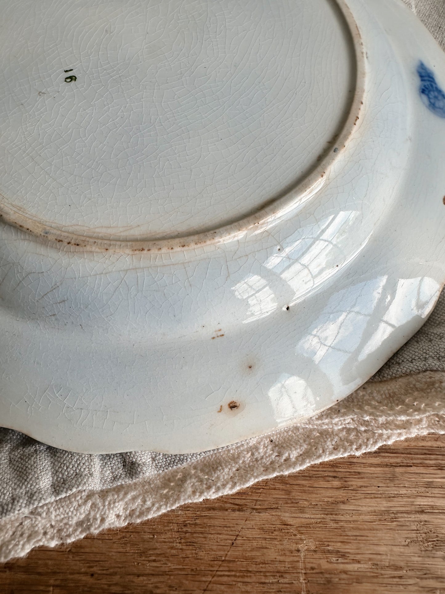 Pair of Antique English Onion Ware Plates