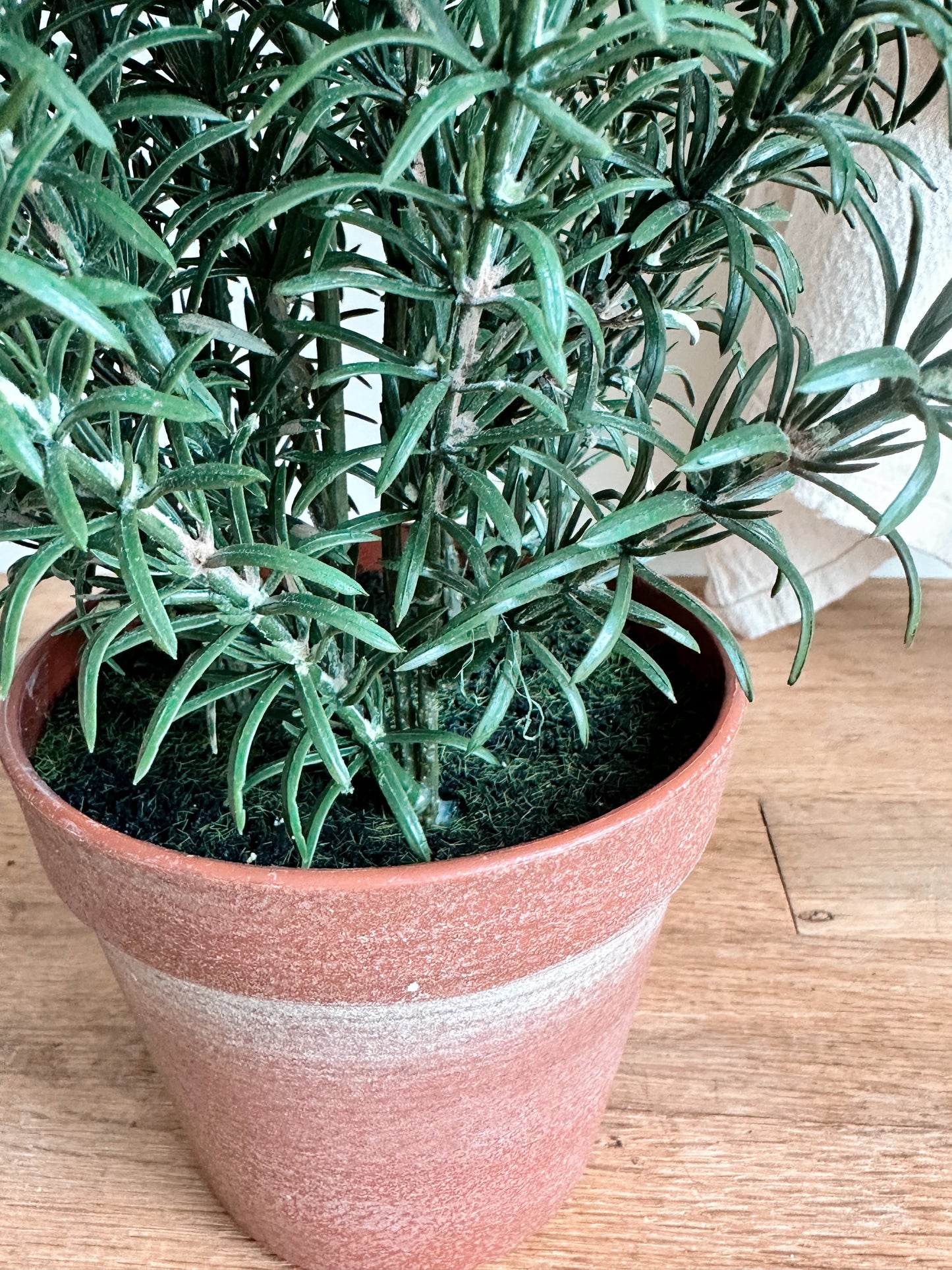Faux Rosemary Plant