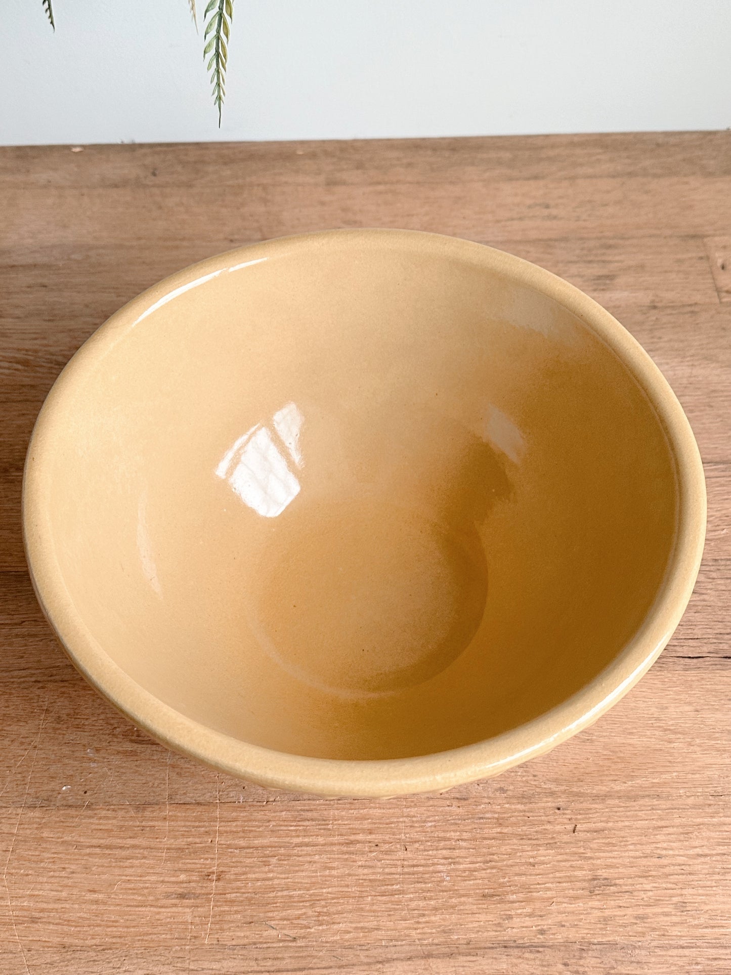 Beautiful Vintage Roseville Bowl