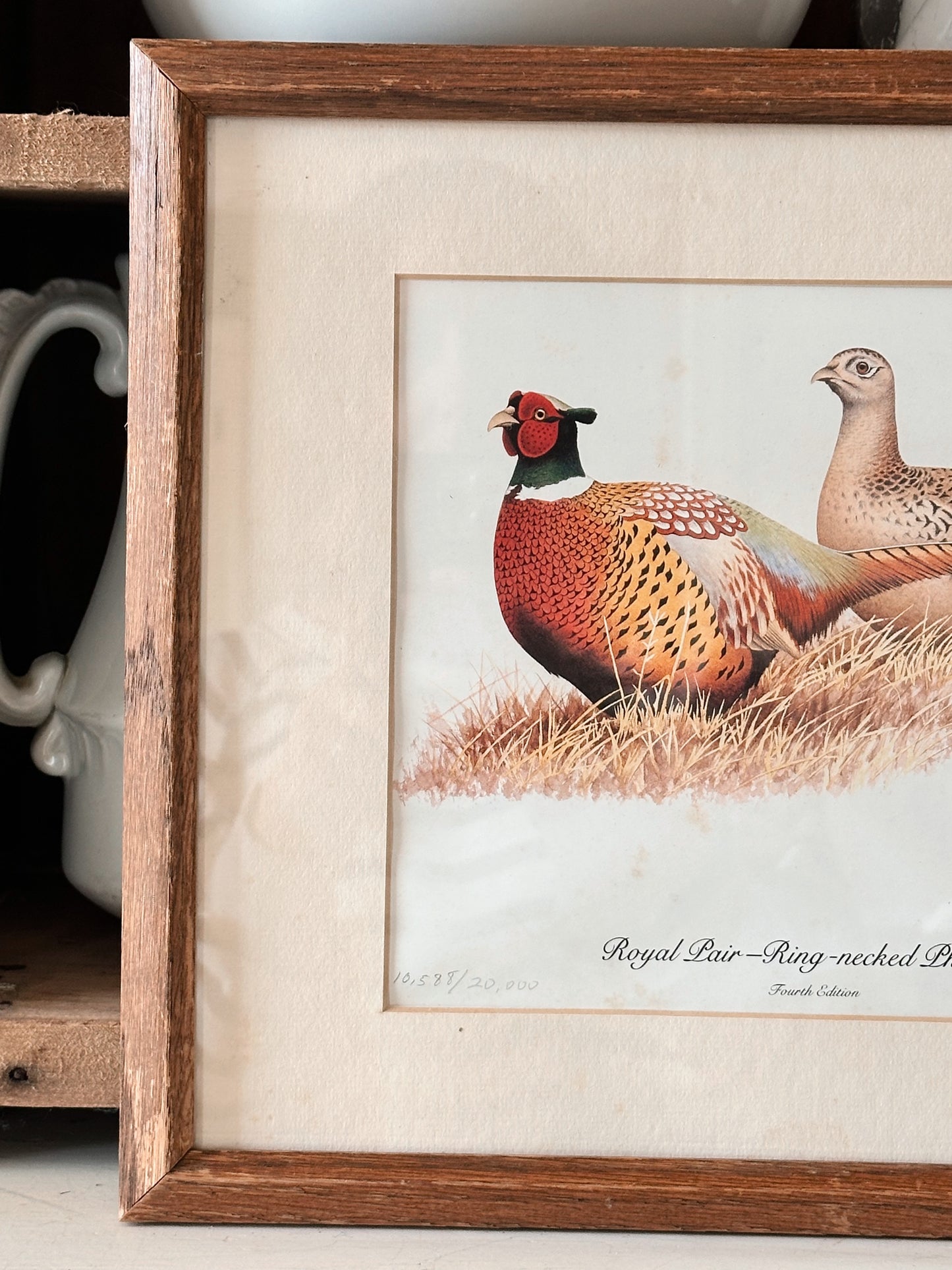 Vintage Signed and Numbered Pheasant Print