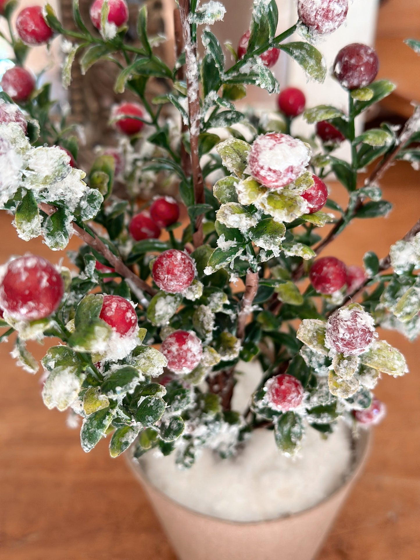 Snow Touched Berry Saplings (set of 2)