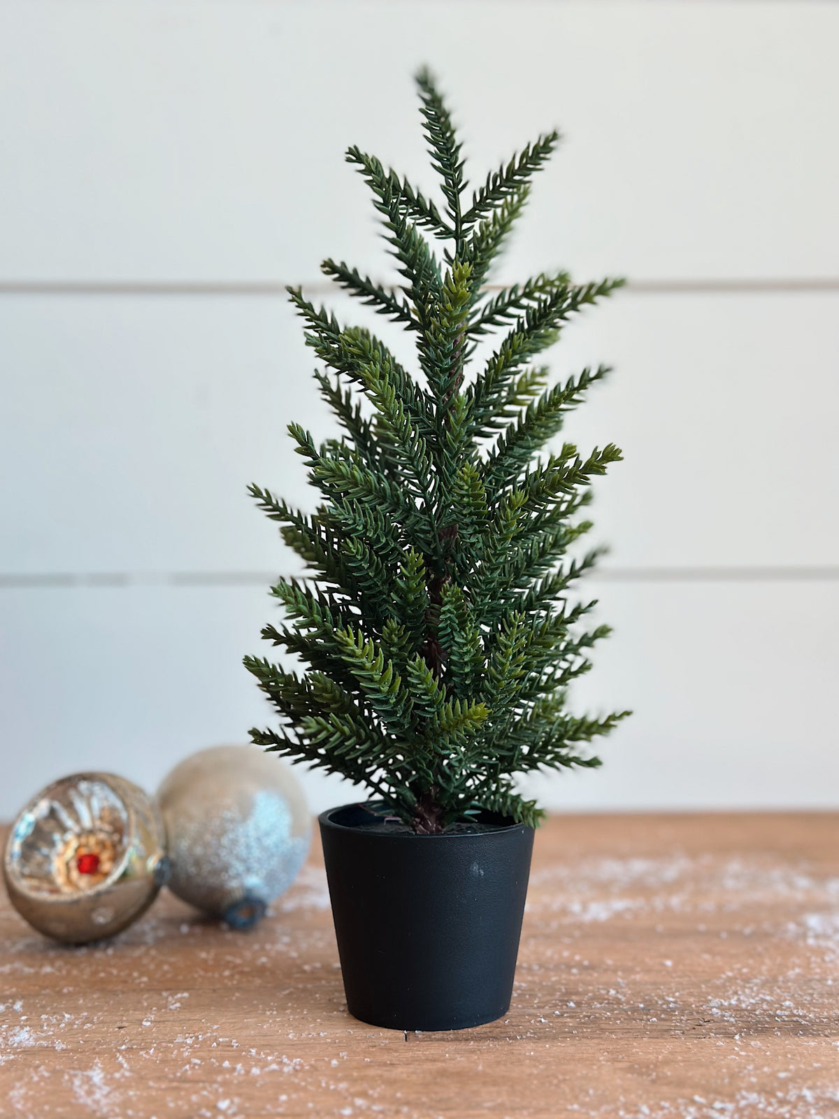 Set of Mini Evergreen Trees