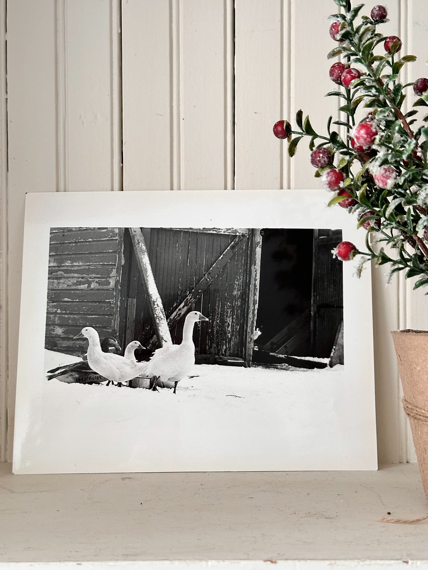 Vintage Photo, Geese in the Snow