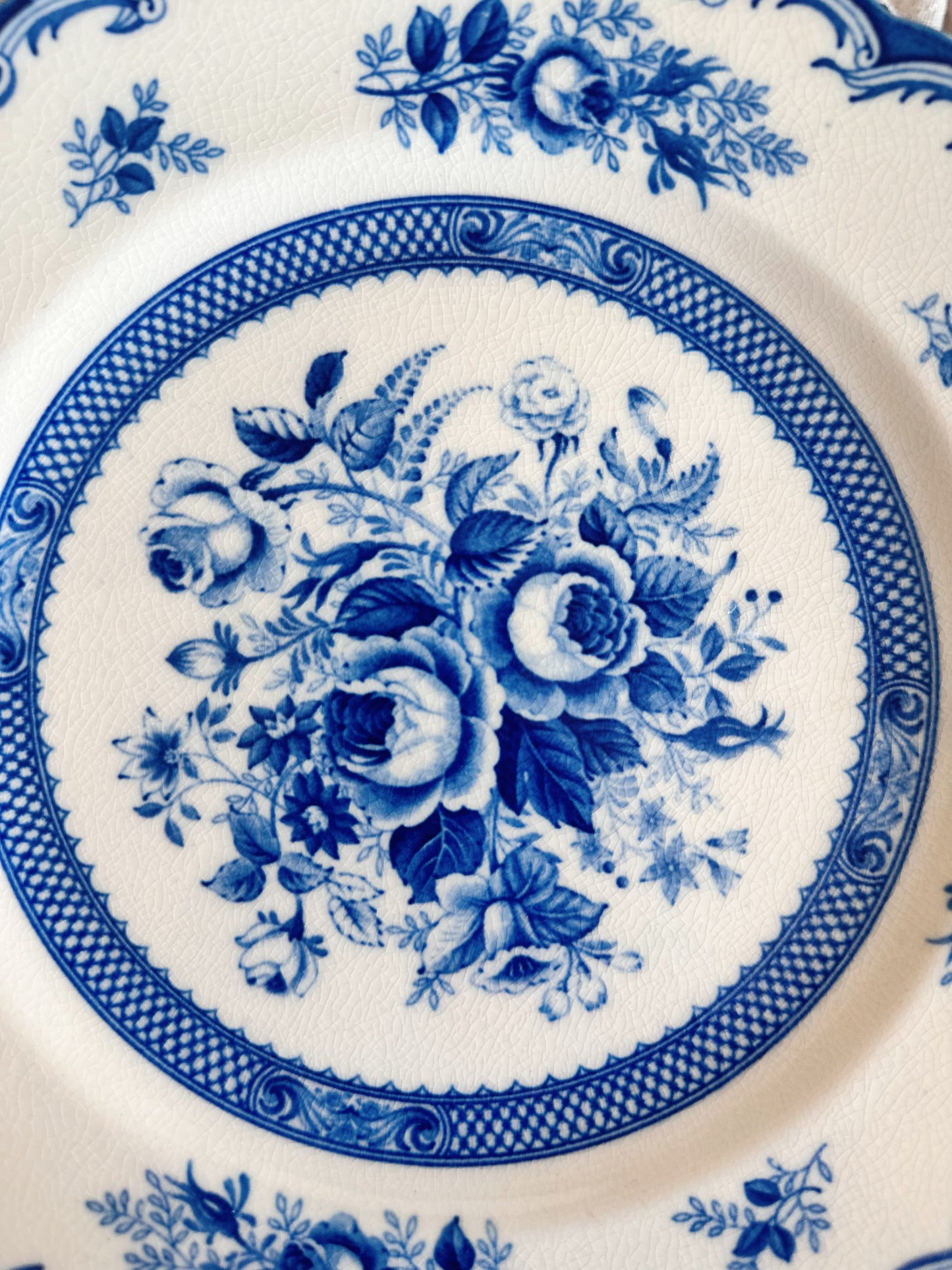 Pair of Vintage Blue & White Transferware Plates
