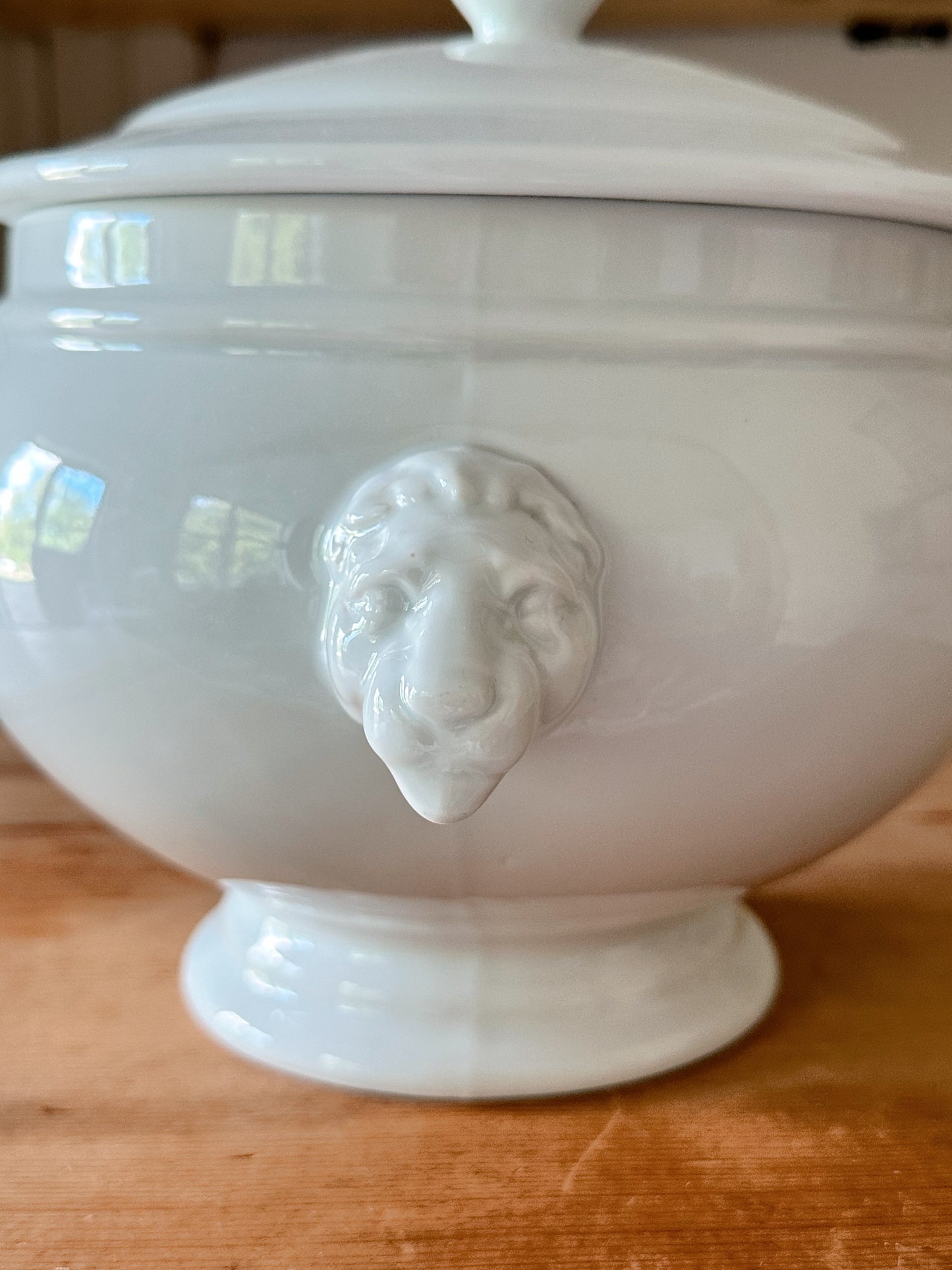 Vintage Porcelain Lion Head Soup Tureen