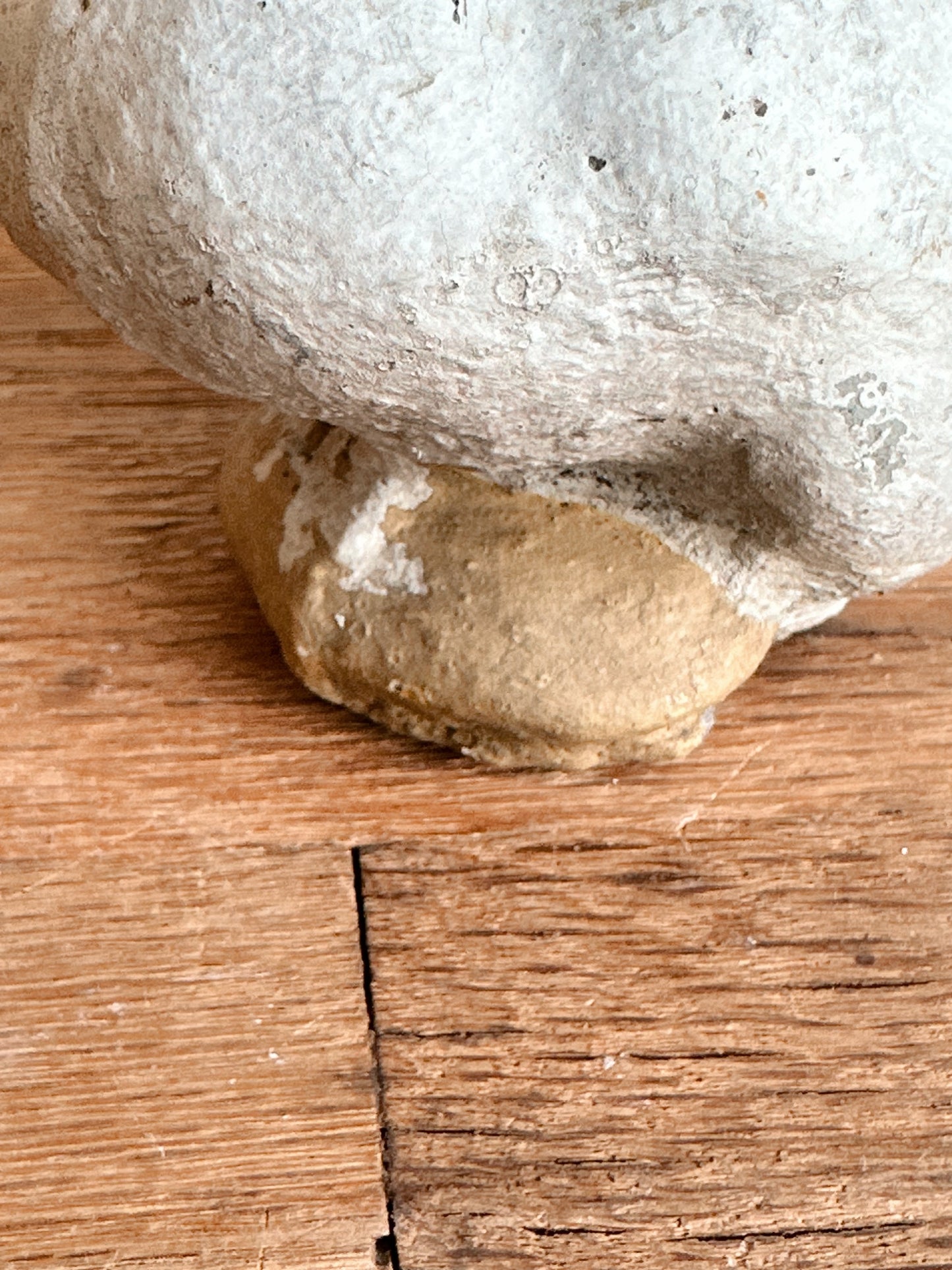 Vintage Concrete Duckling