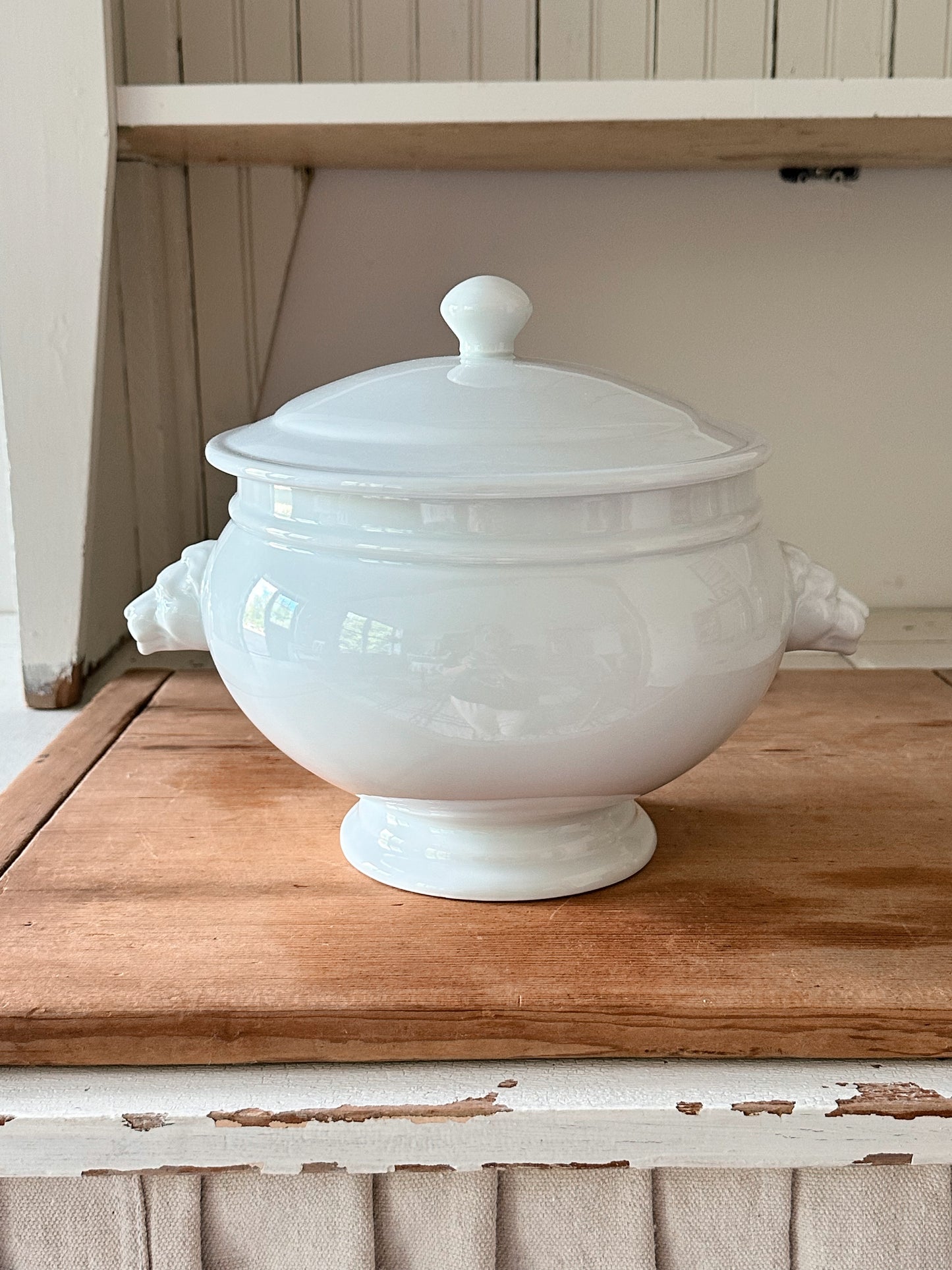 Vintage Porcelain Lion Head Soup Tureen