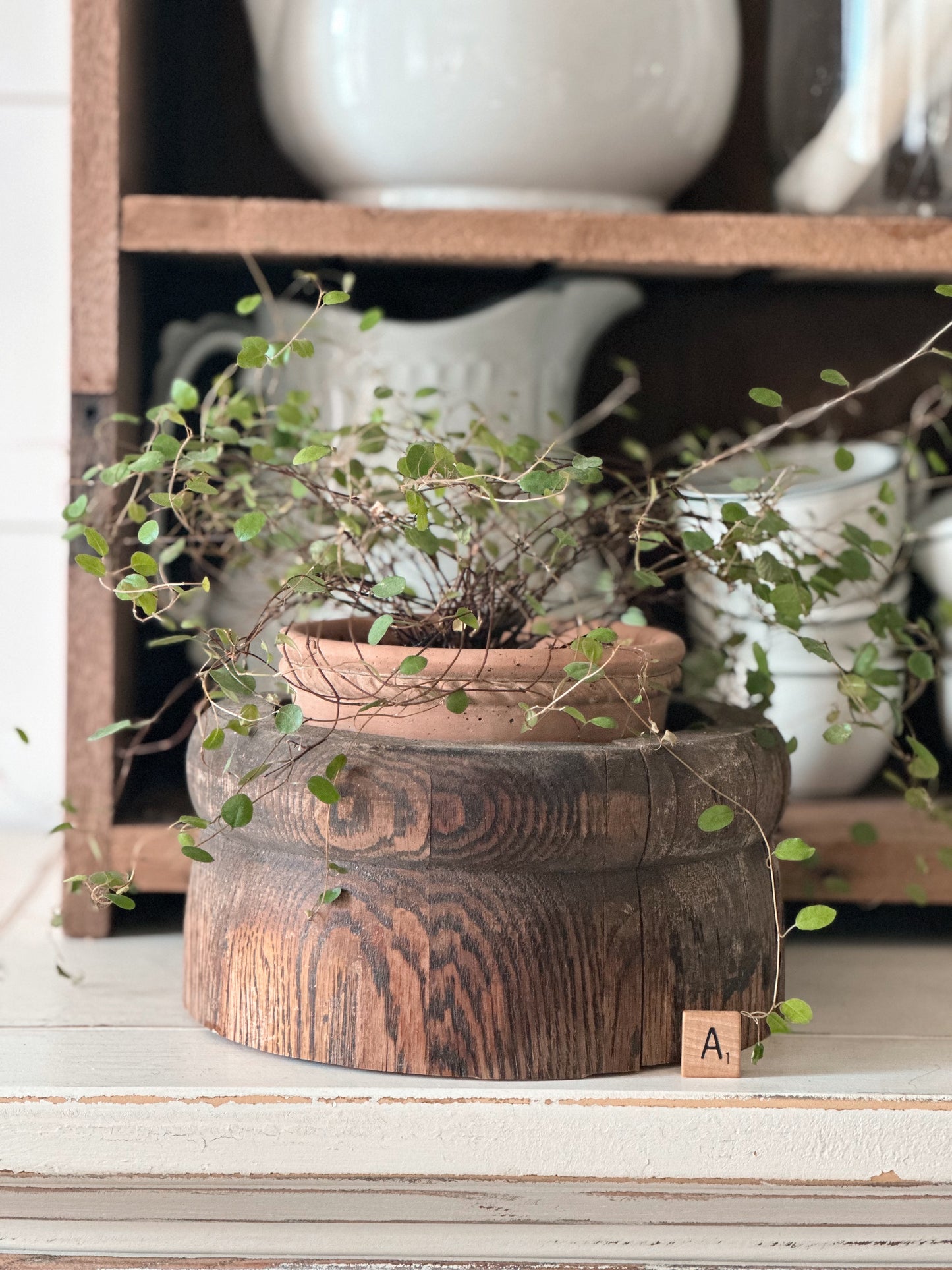 Salvaged Wood Riser, Plant Collar