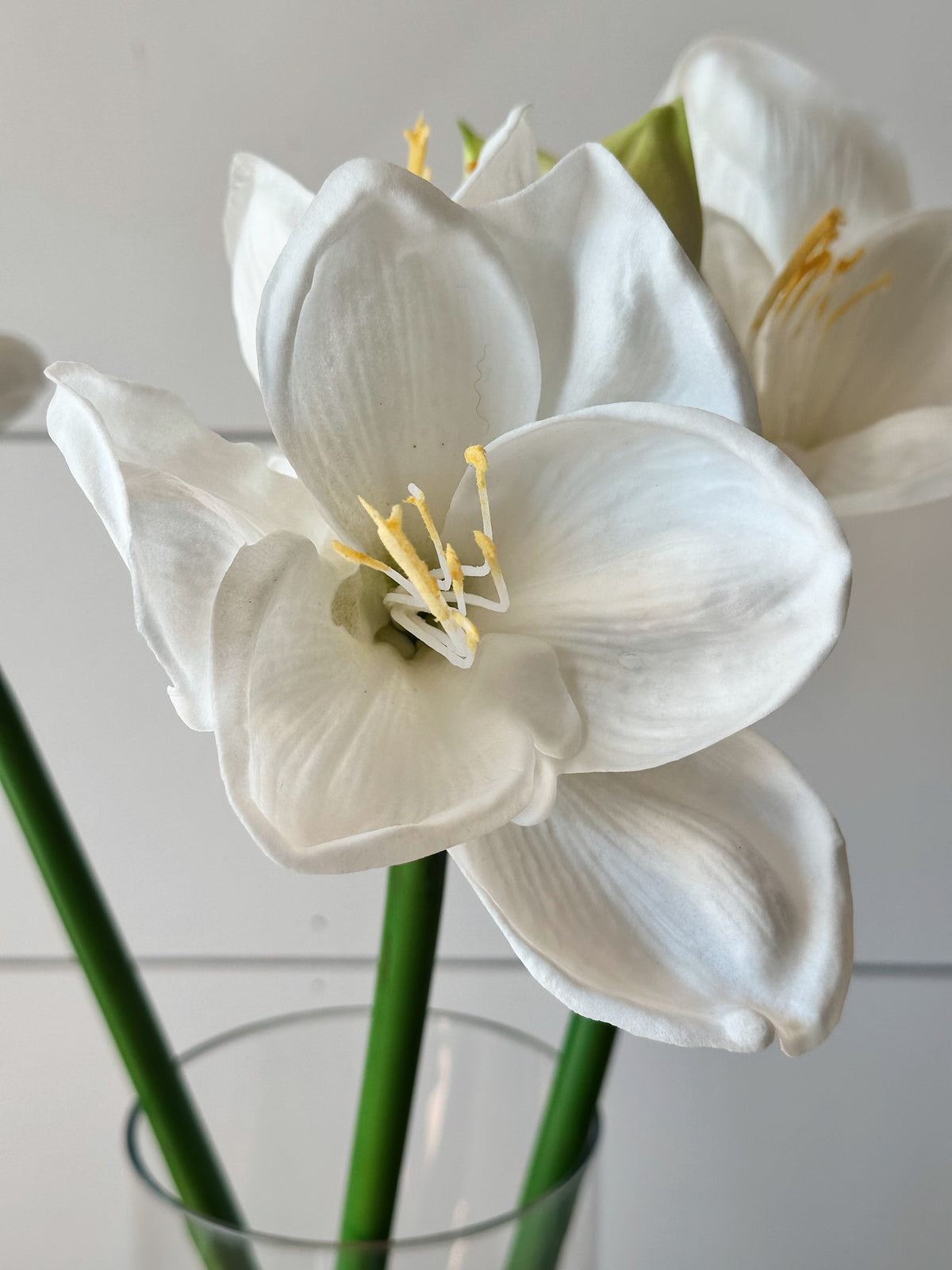Real Touch Amaryllis Stems, Bundle of Three