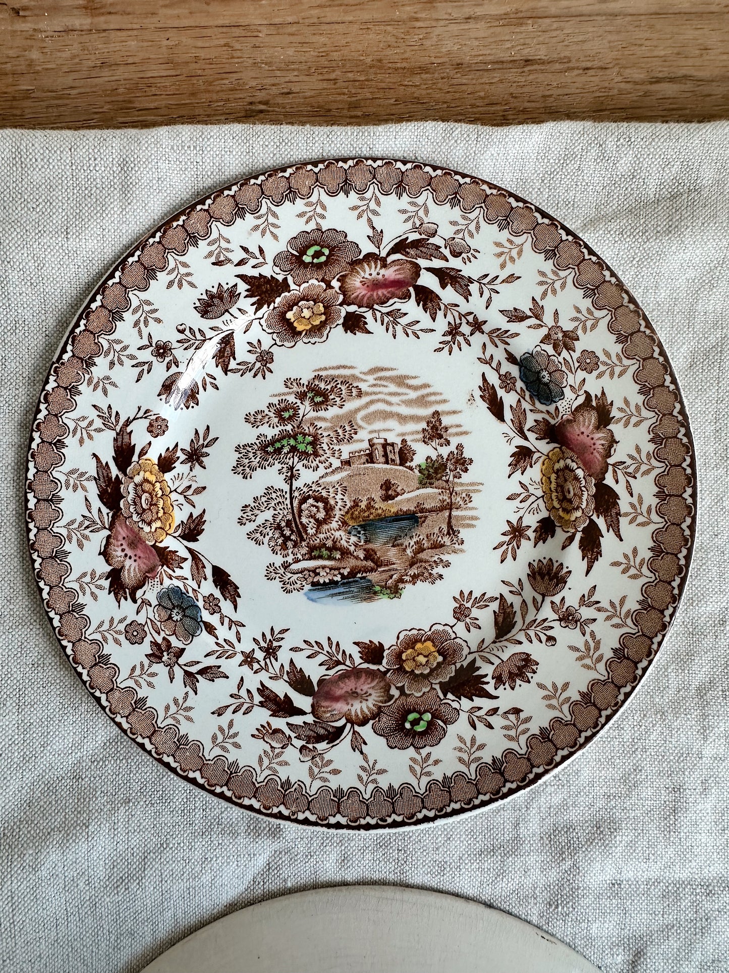 Pair of Vintage English Transferware Dessert Plates
