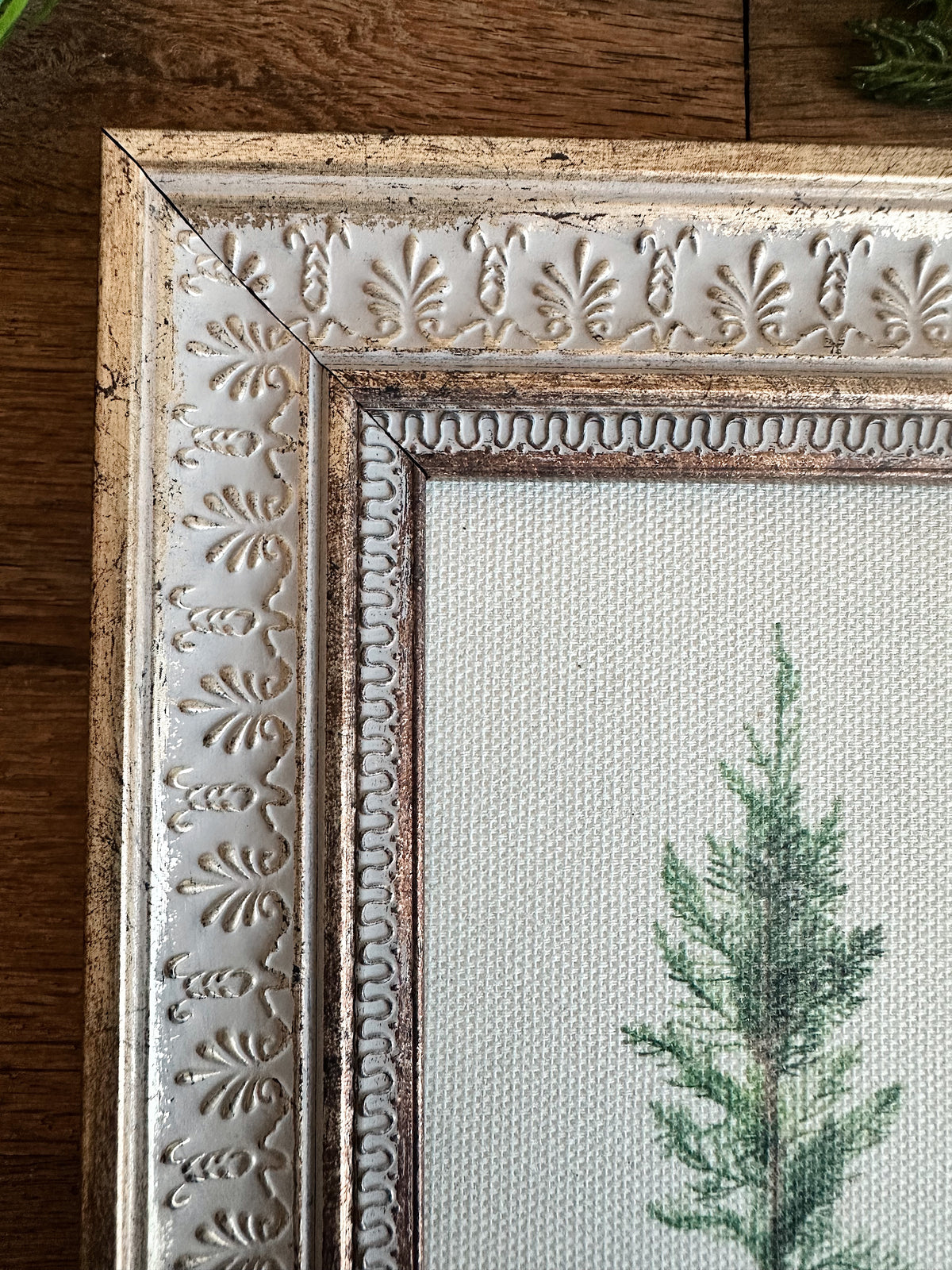 Vintage Juniper 5x7