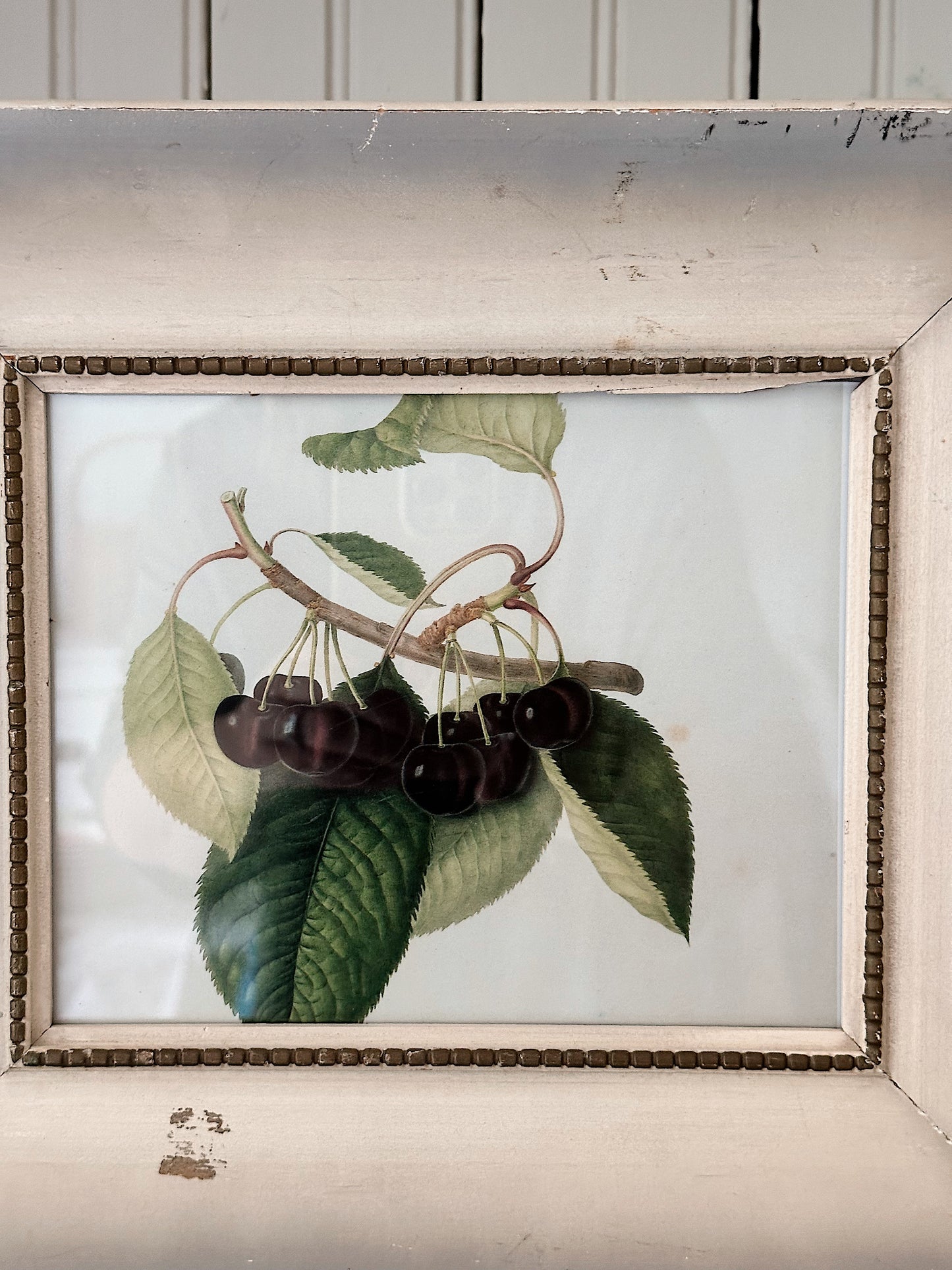 Vintage Framed Botanical Print (Dark Cherries)