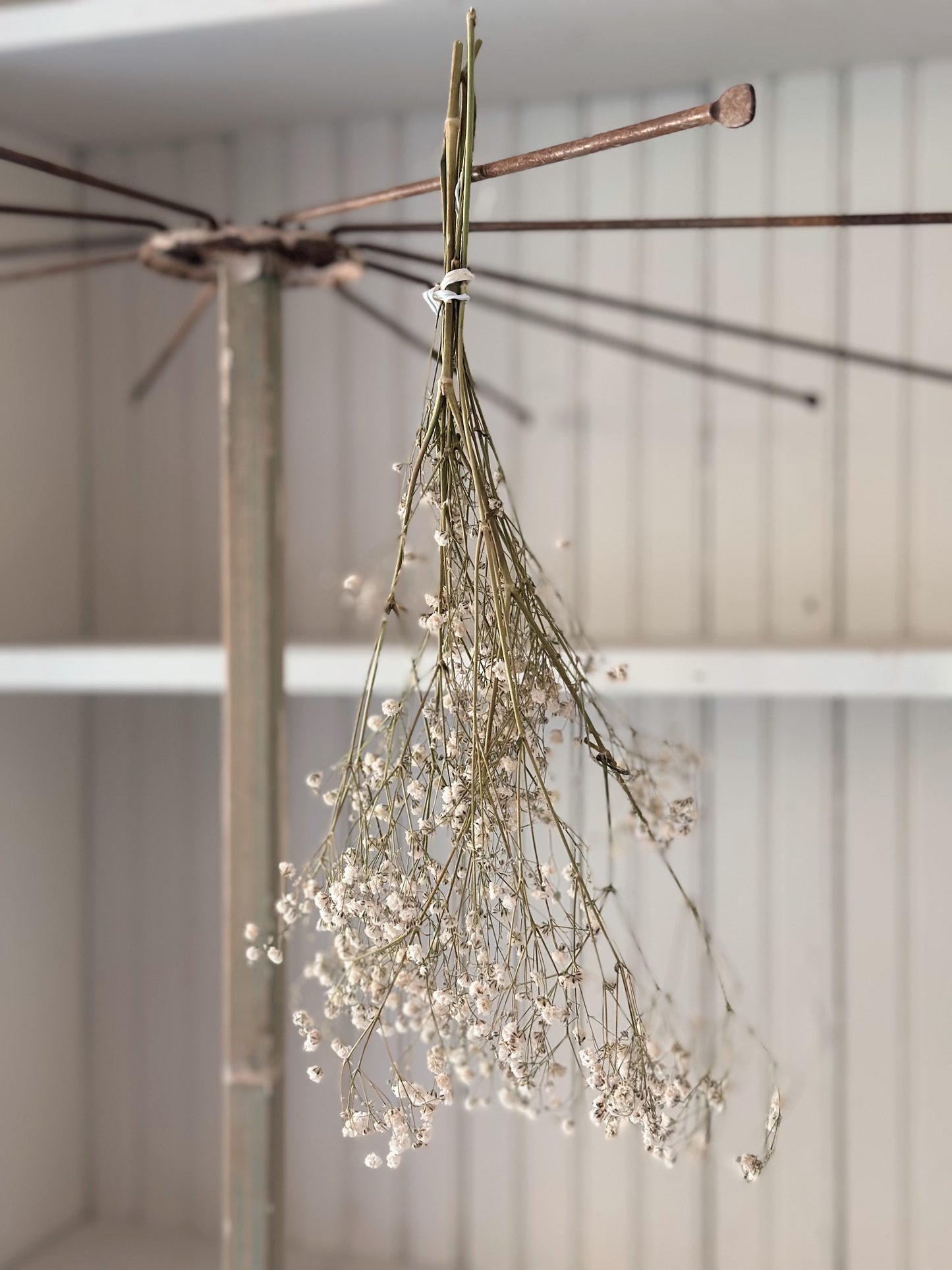 Chippy Vintage Drying Rack