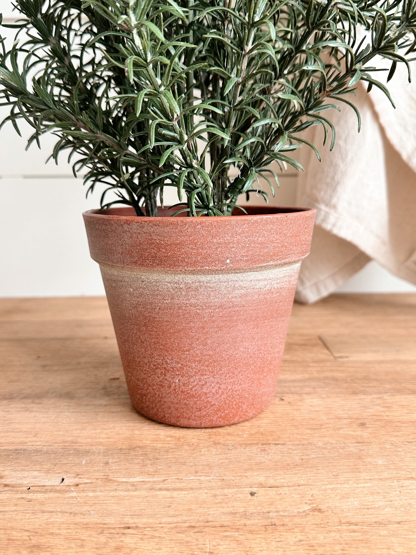 Faux Rosemary Plant