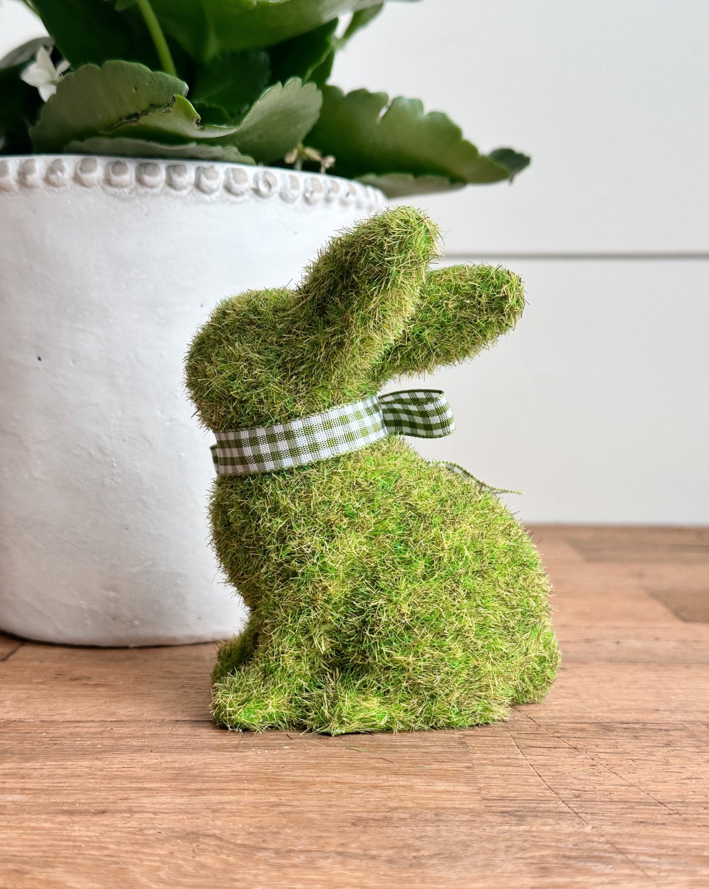 Mossy Bunny with a Bow