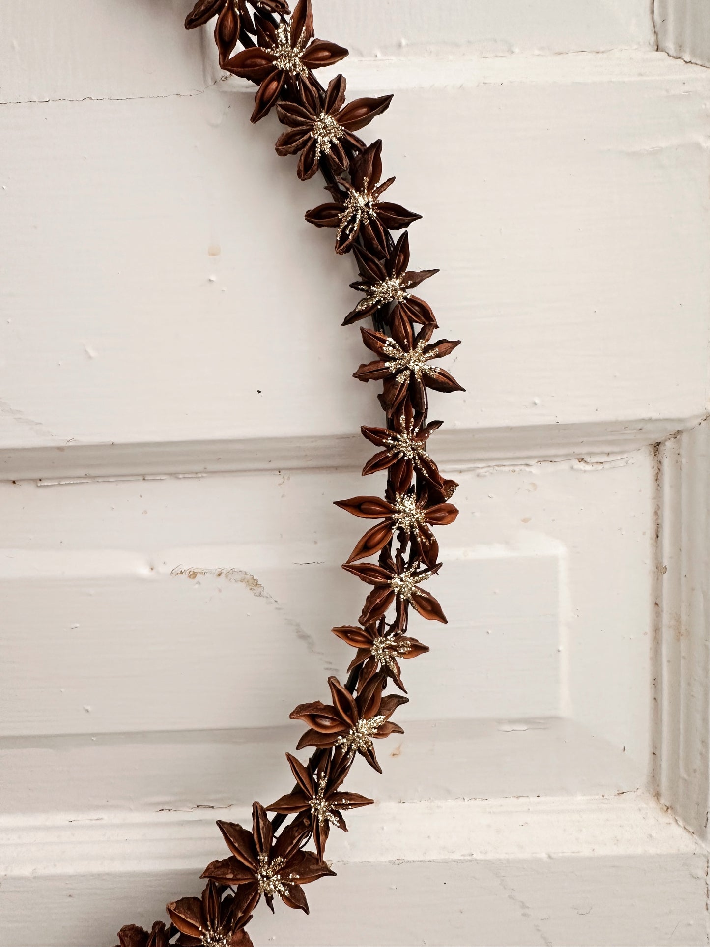 Star Anise Glitter Wreath