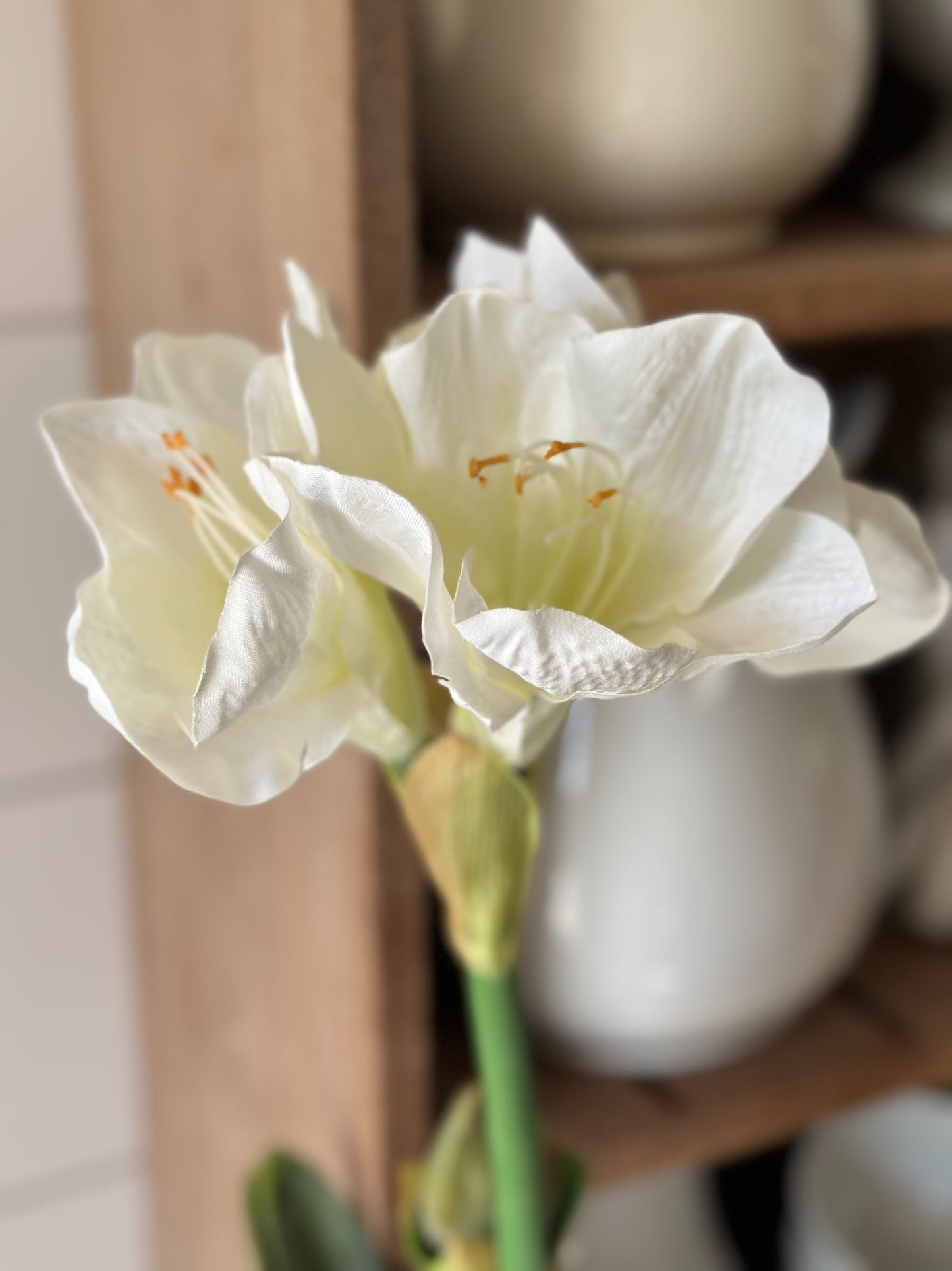 25” White Amaryllis with Bulb