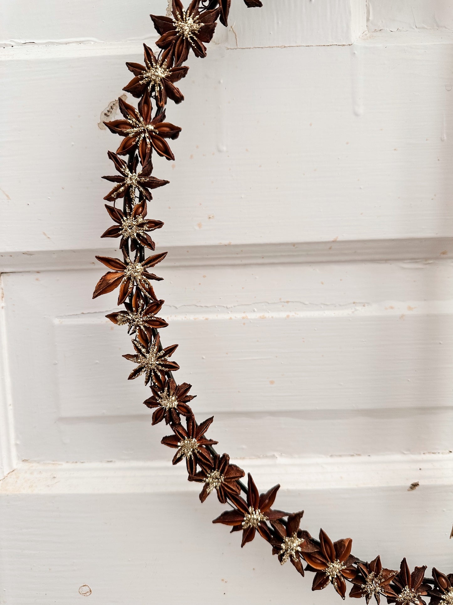 Star Anise Glitter Wreath