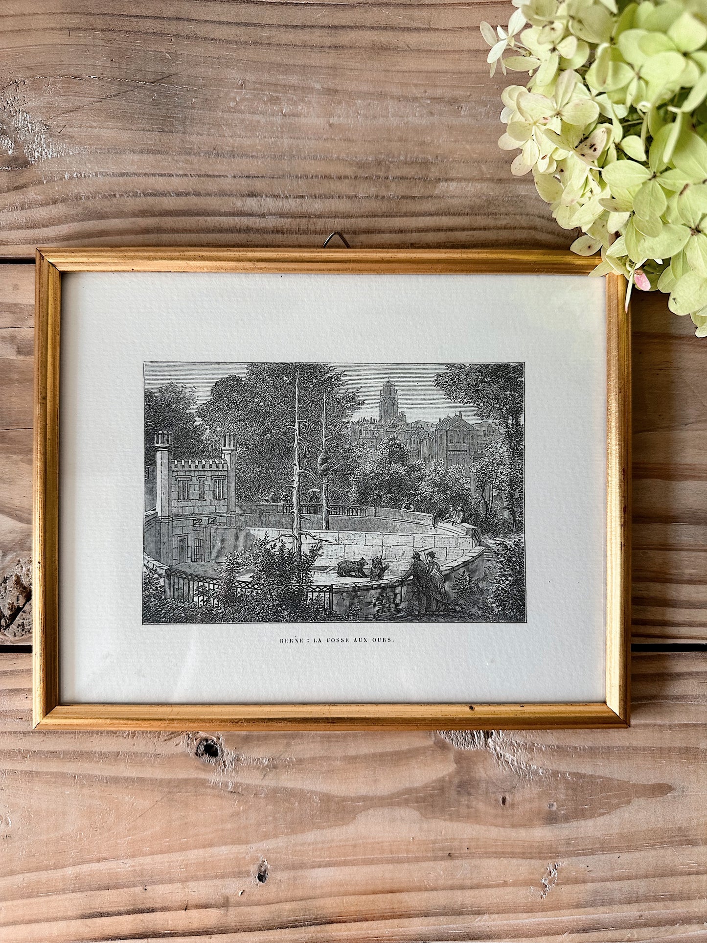 Vintage Framed German Print, The Bear Pit