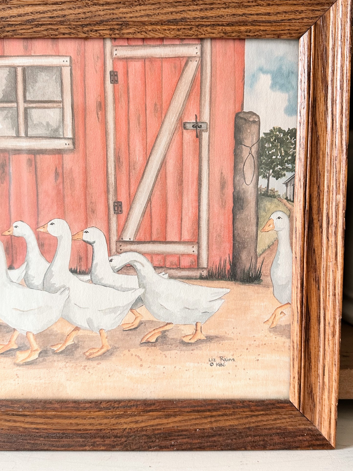 Vintage Ducks By a Barn Print, Framed