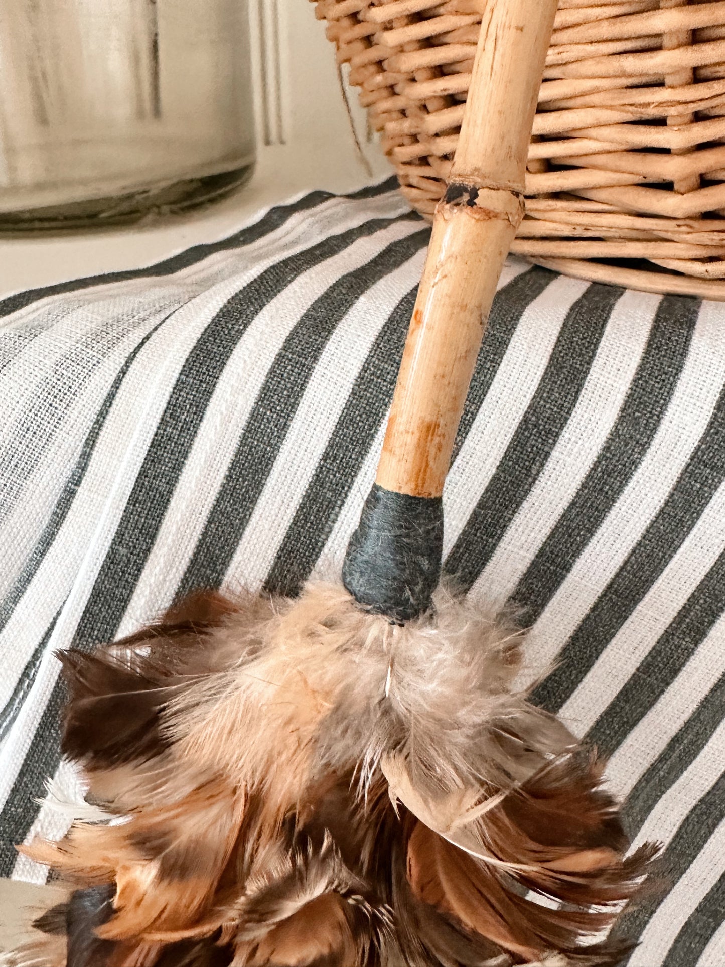 Vintage Feather Duster