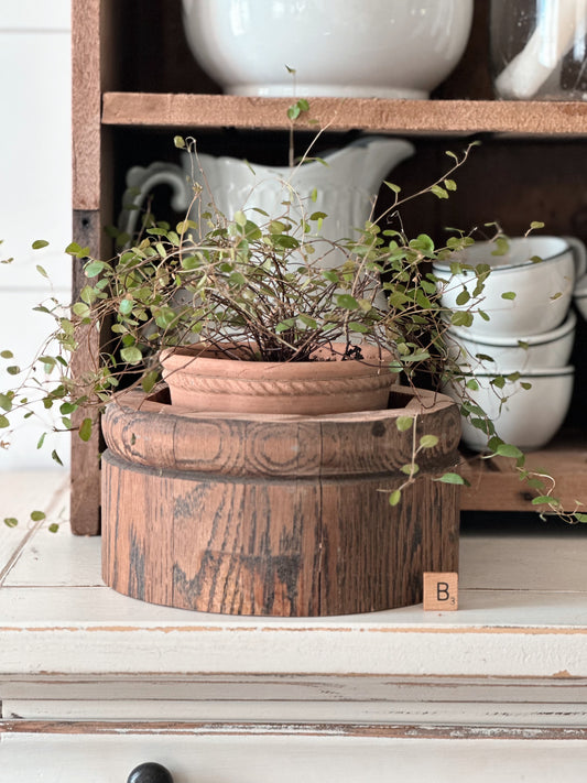 Salvaged Wood Riser, Plant Collar