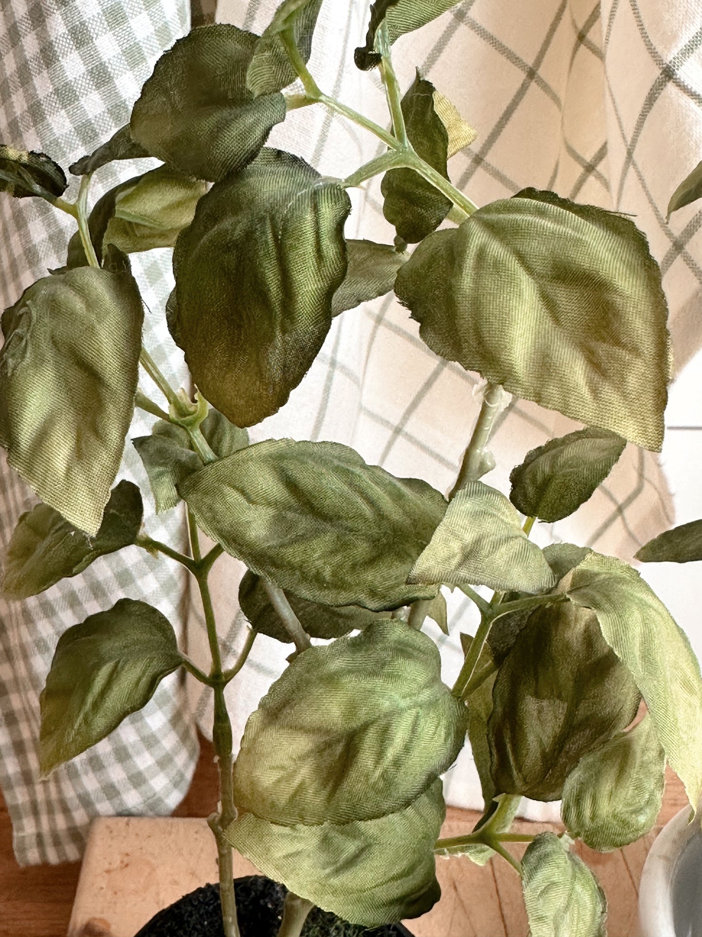 Faux Basil Drop-in Trio