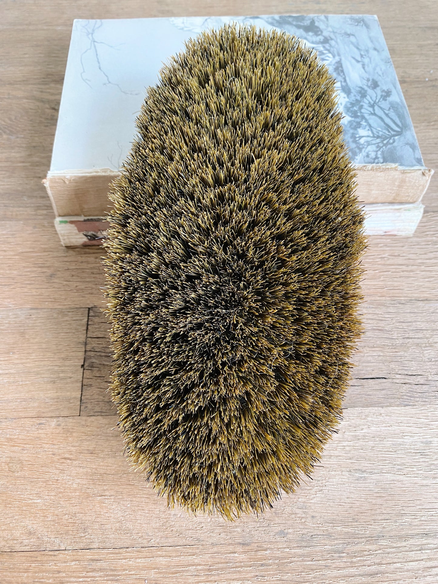 Vintage Leather Horse Brush